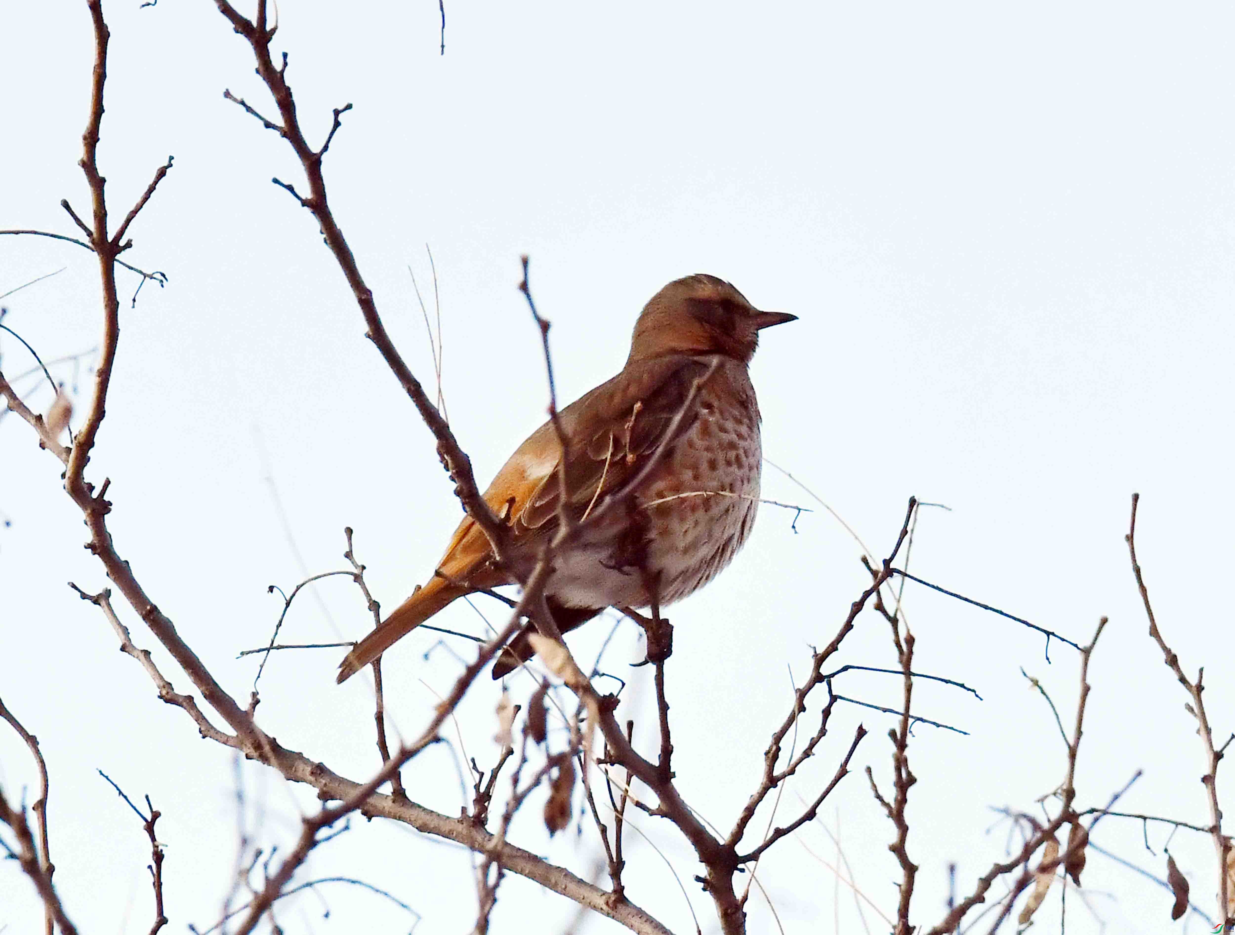 DSC_1691.JPG