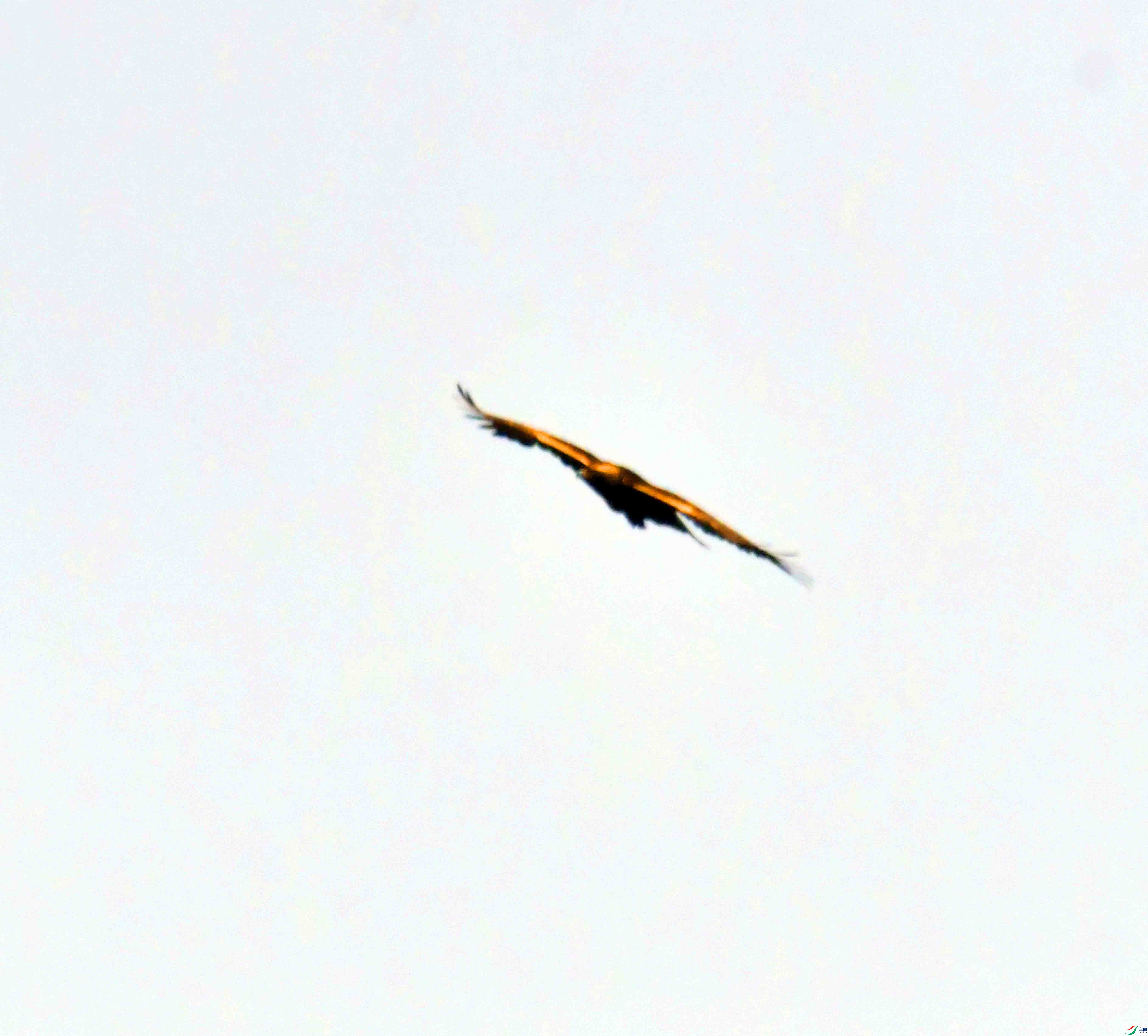DSC_8655.JPG