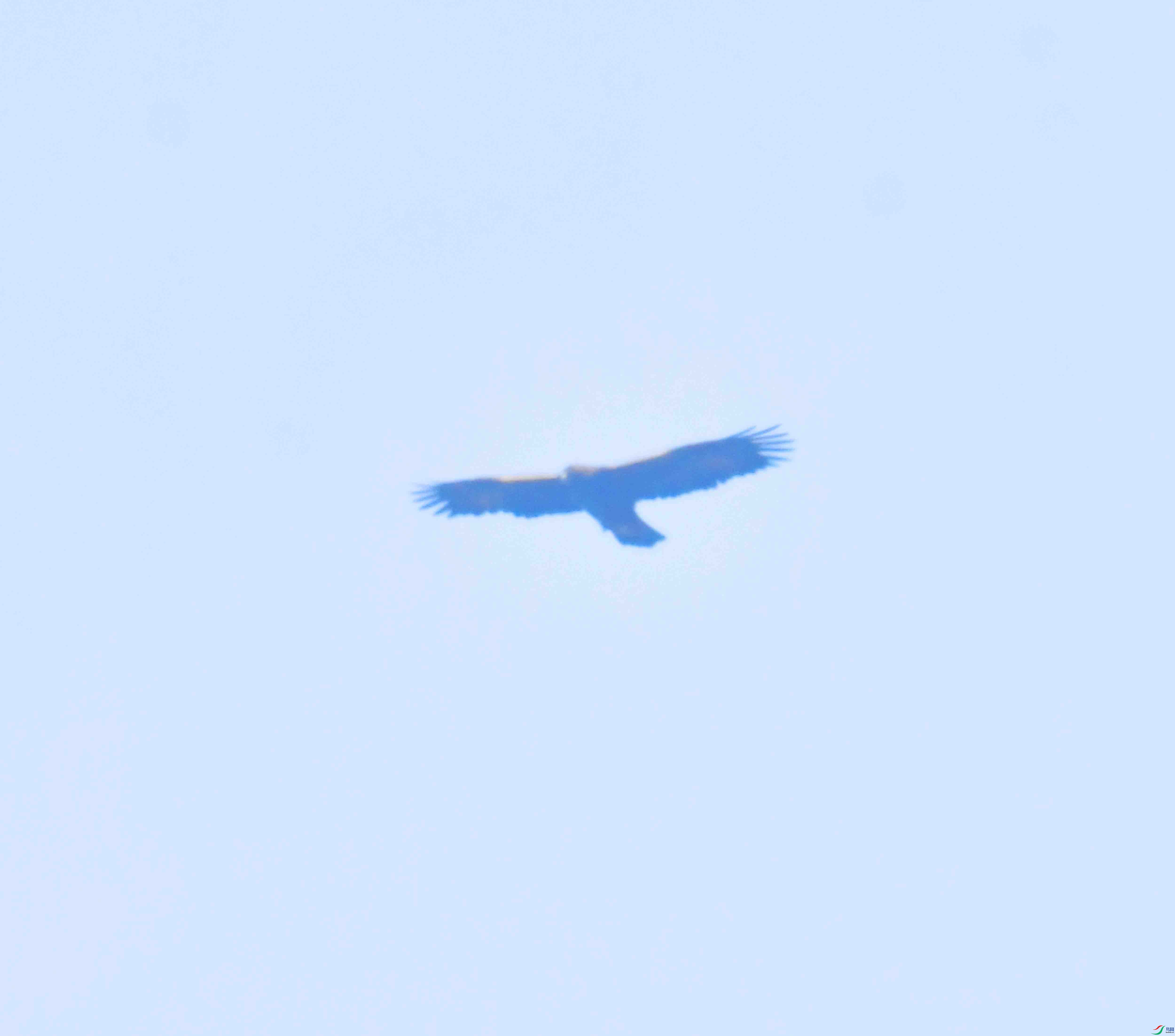 DSC_8672.JPG
