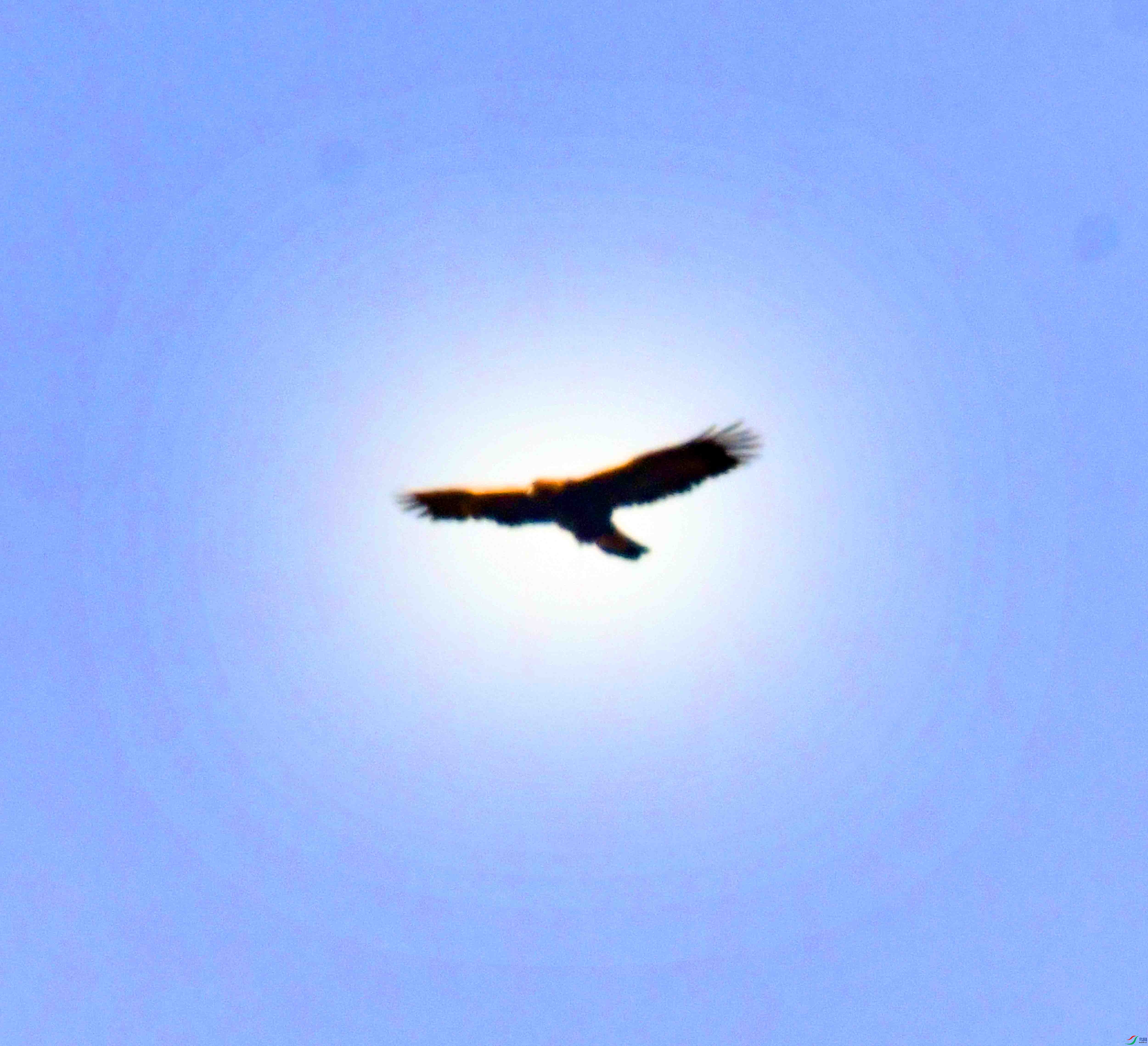 DSC_8671.JPG