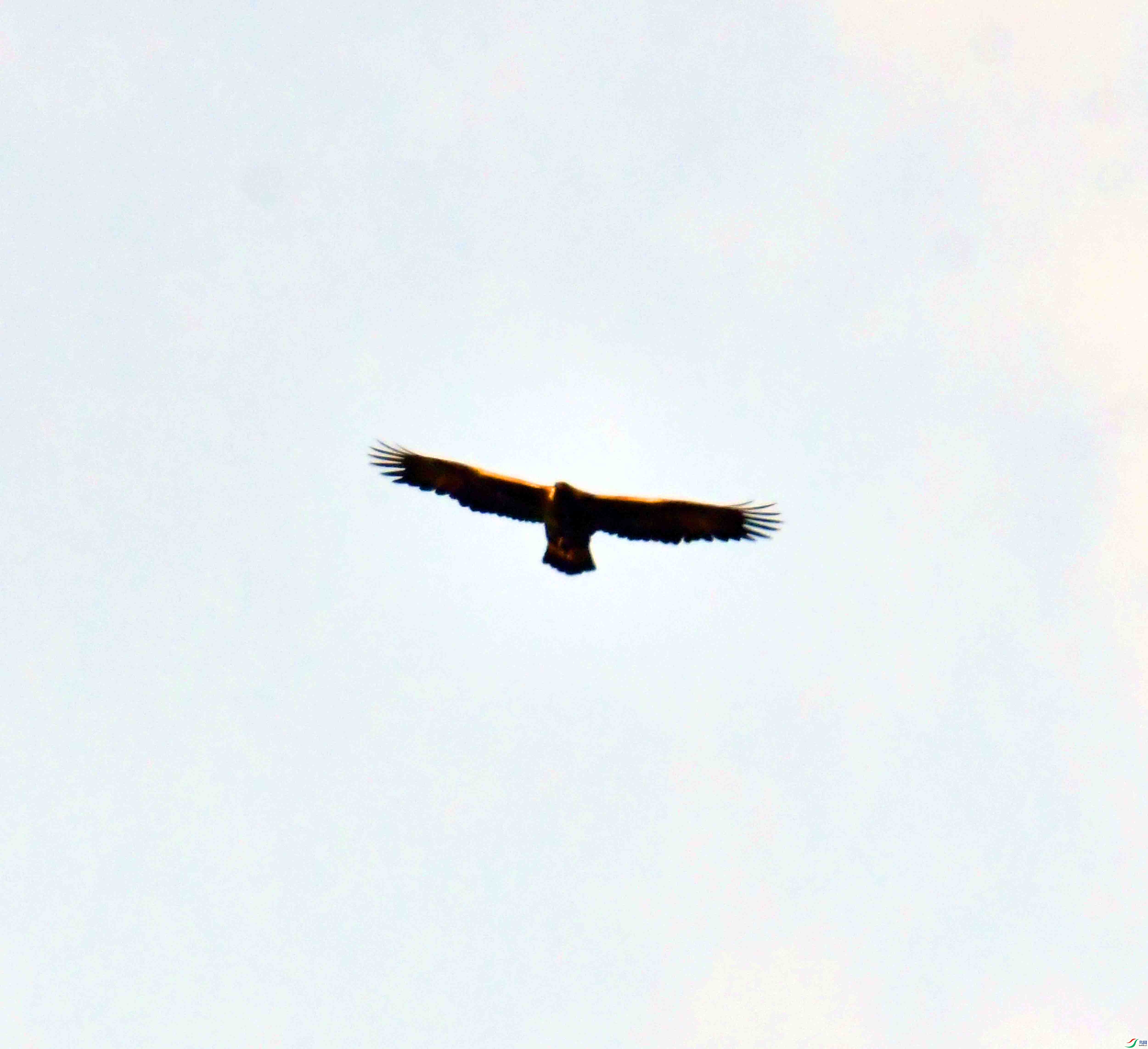 DSC_8676.JPG