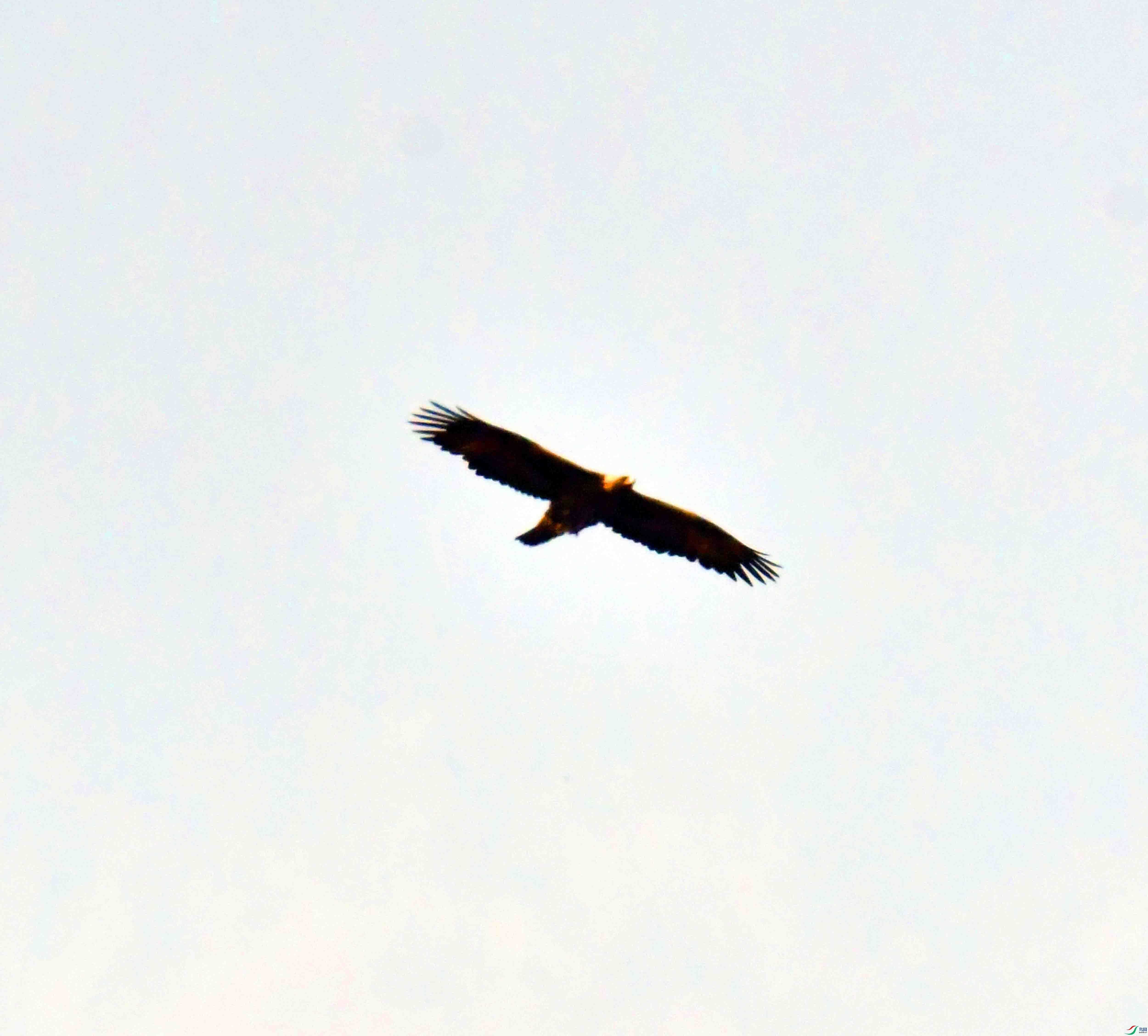 DSC_8680.JPG