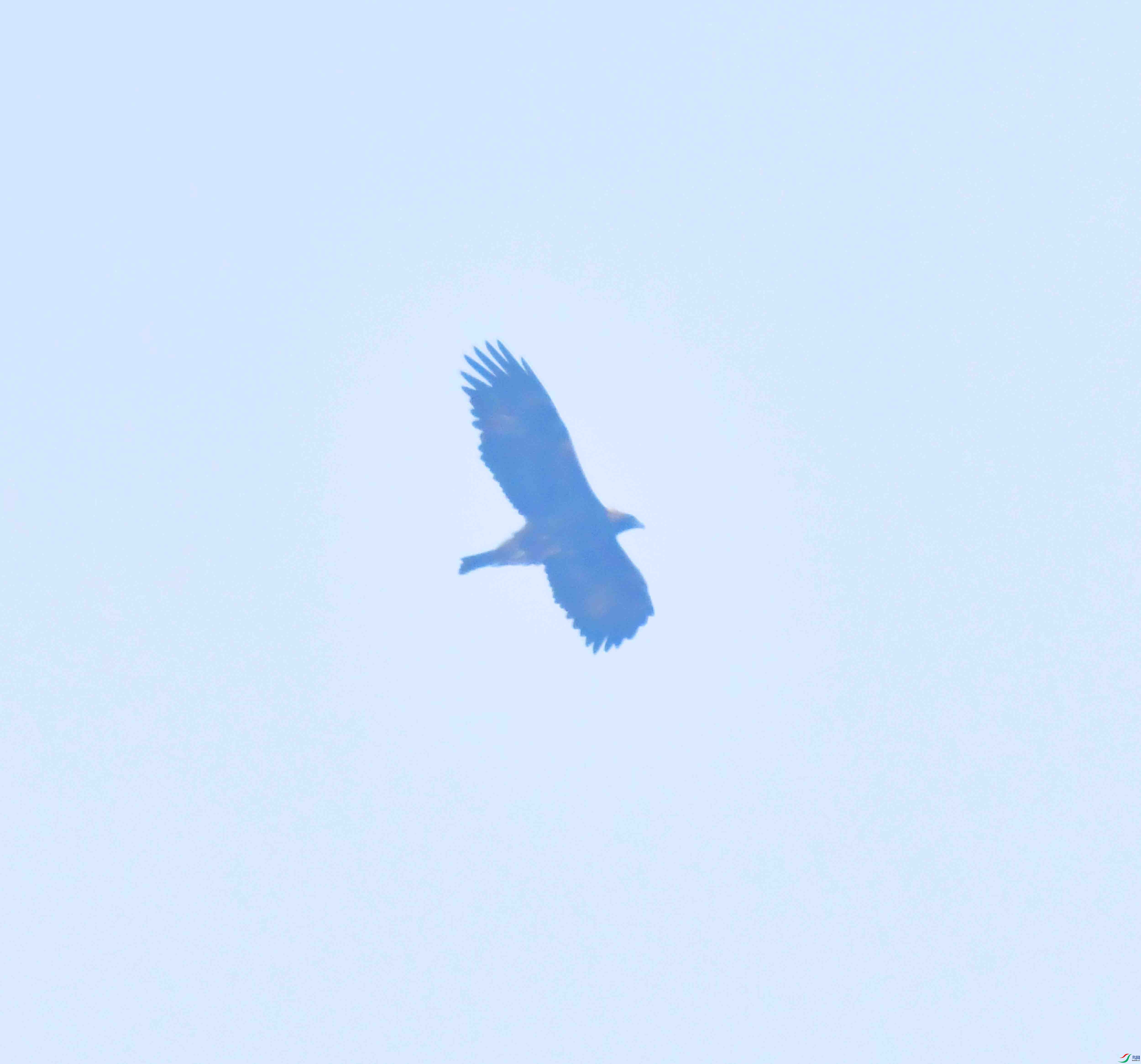 DSC_8686.JPG