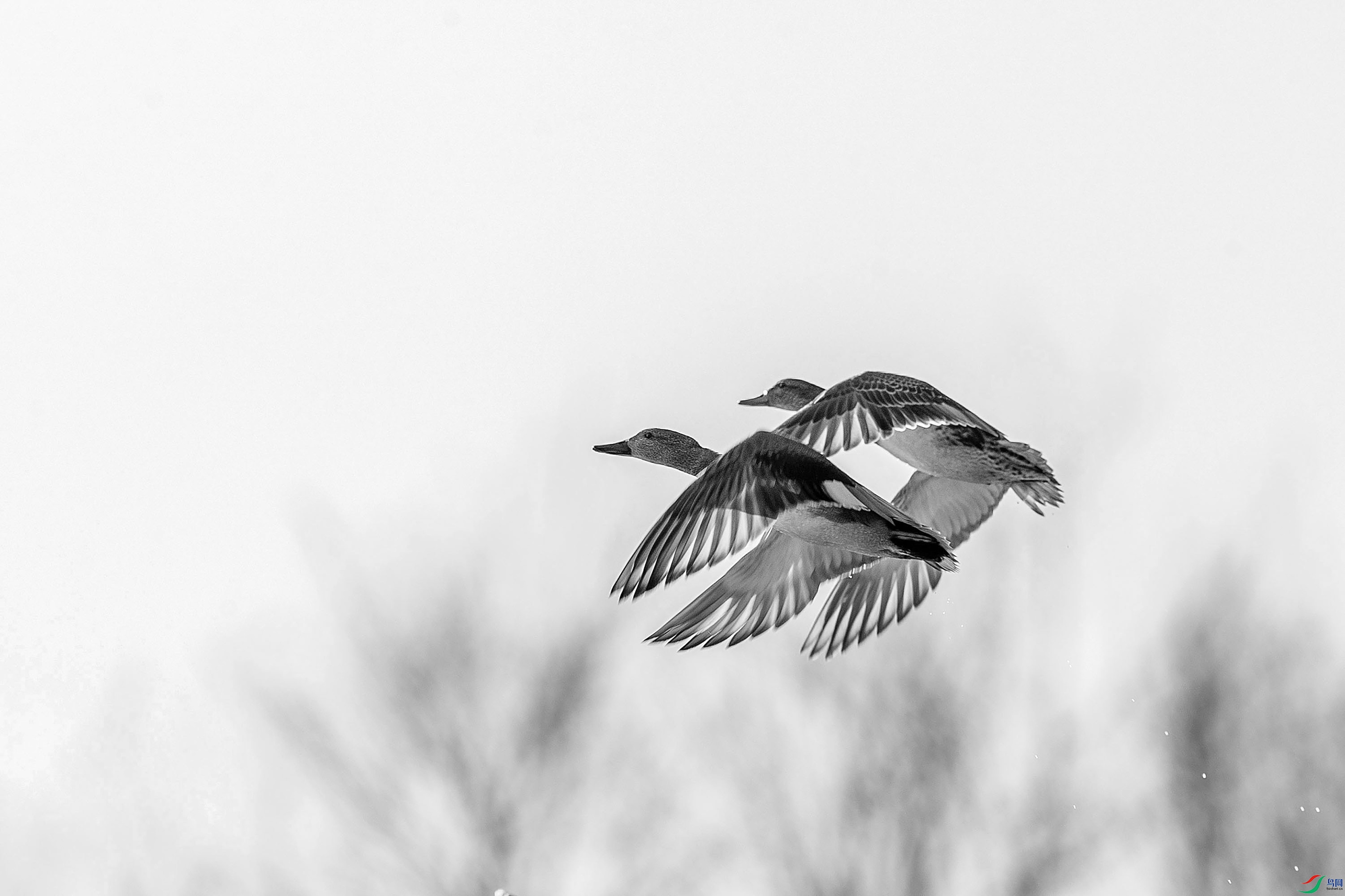 AD1I3500.jpg1 (2).jpg