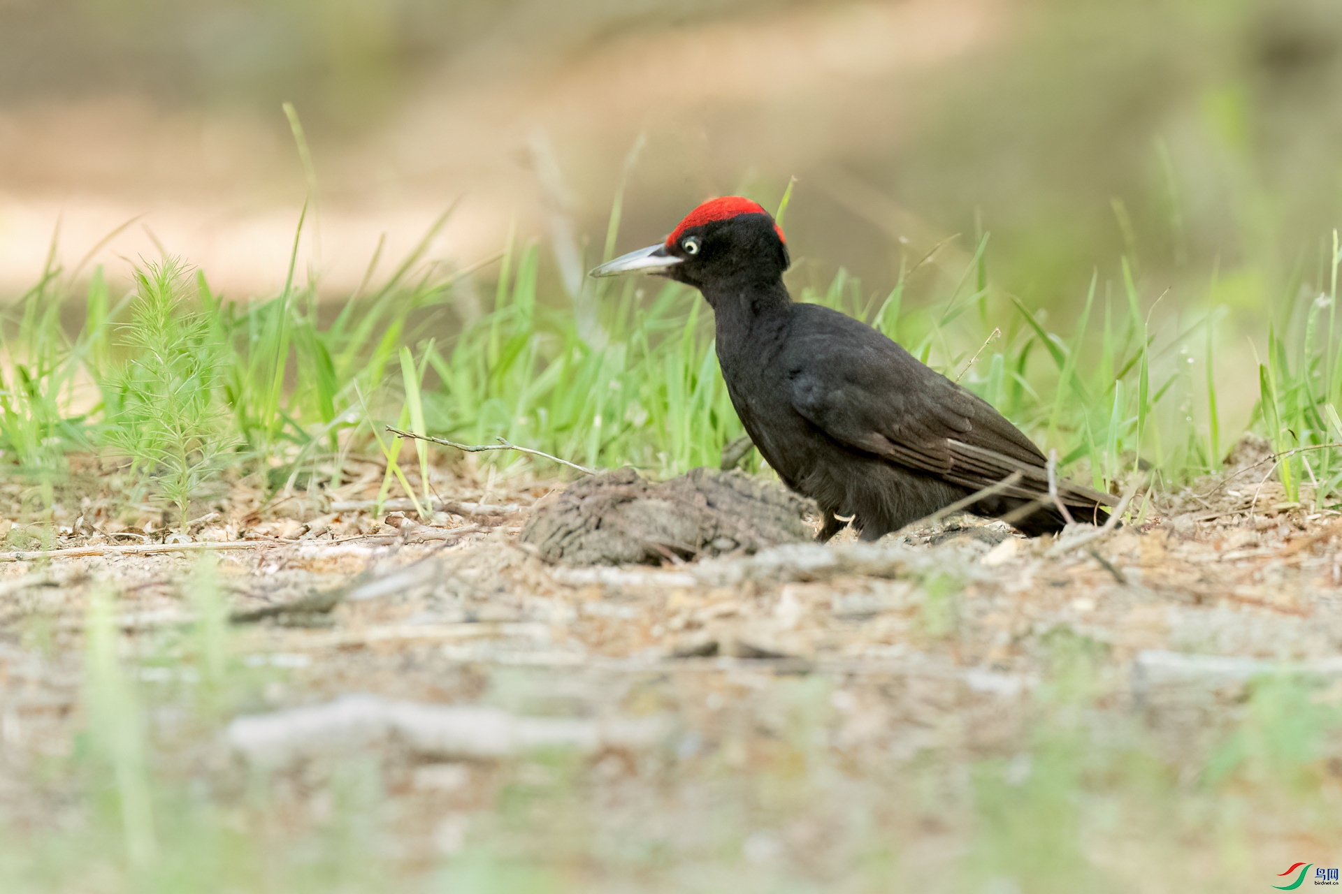 B86I9869 _����.jpg