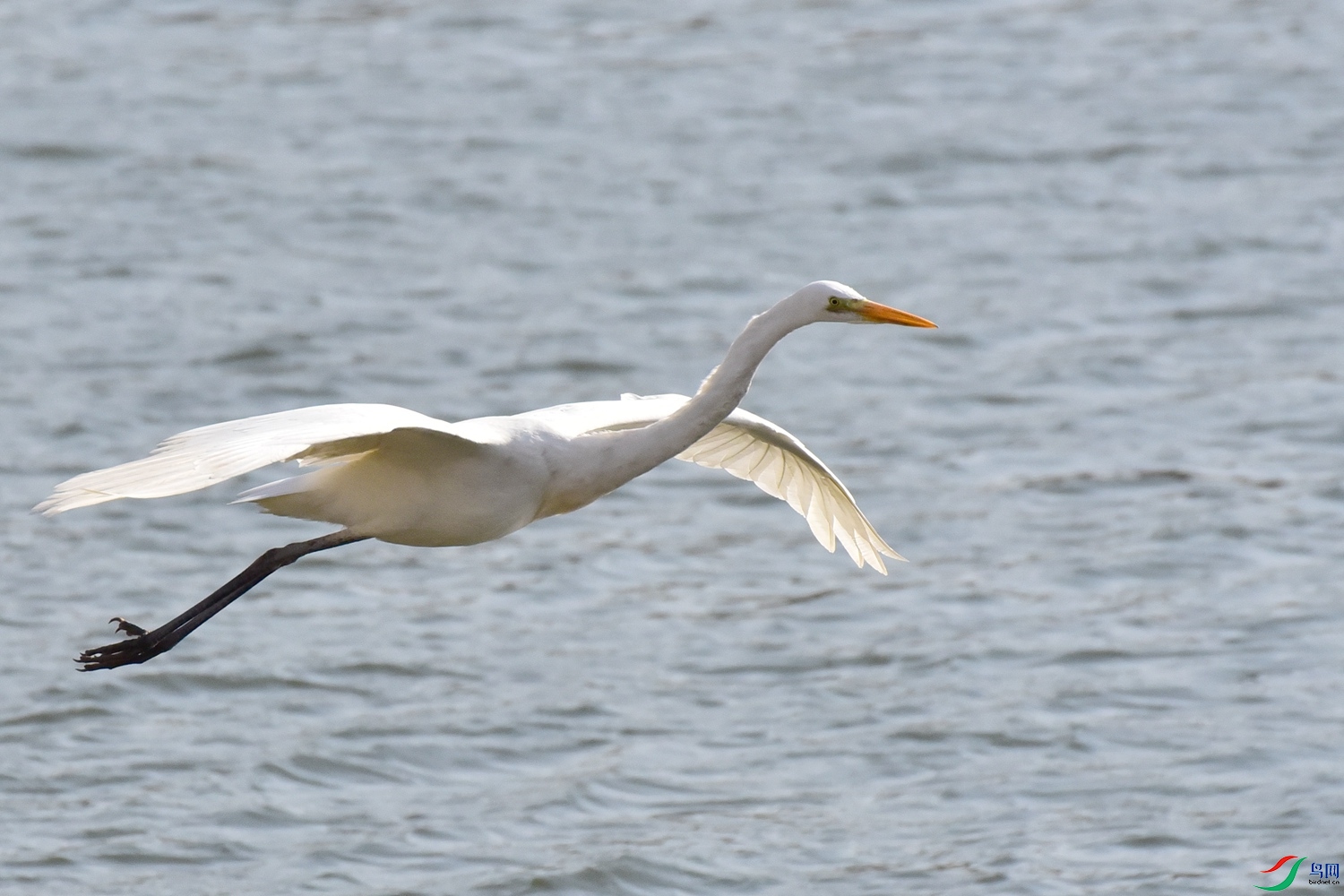 DSC_6103.JPG
