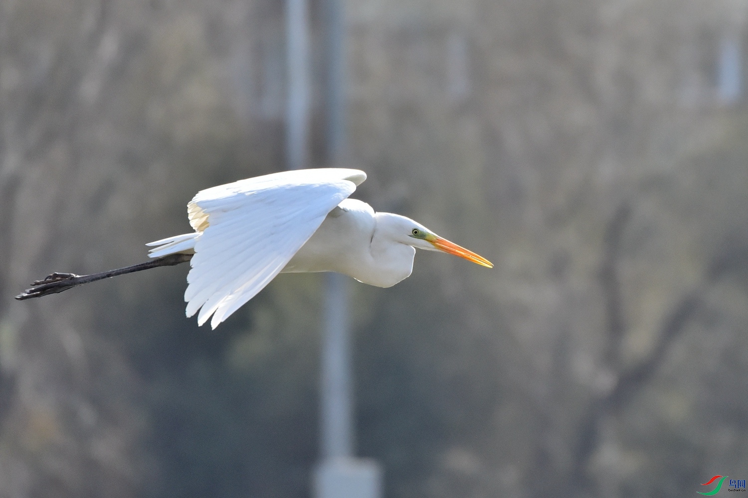 DSC_6101.JPG