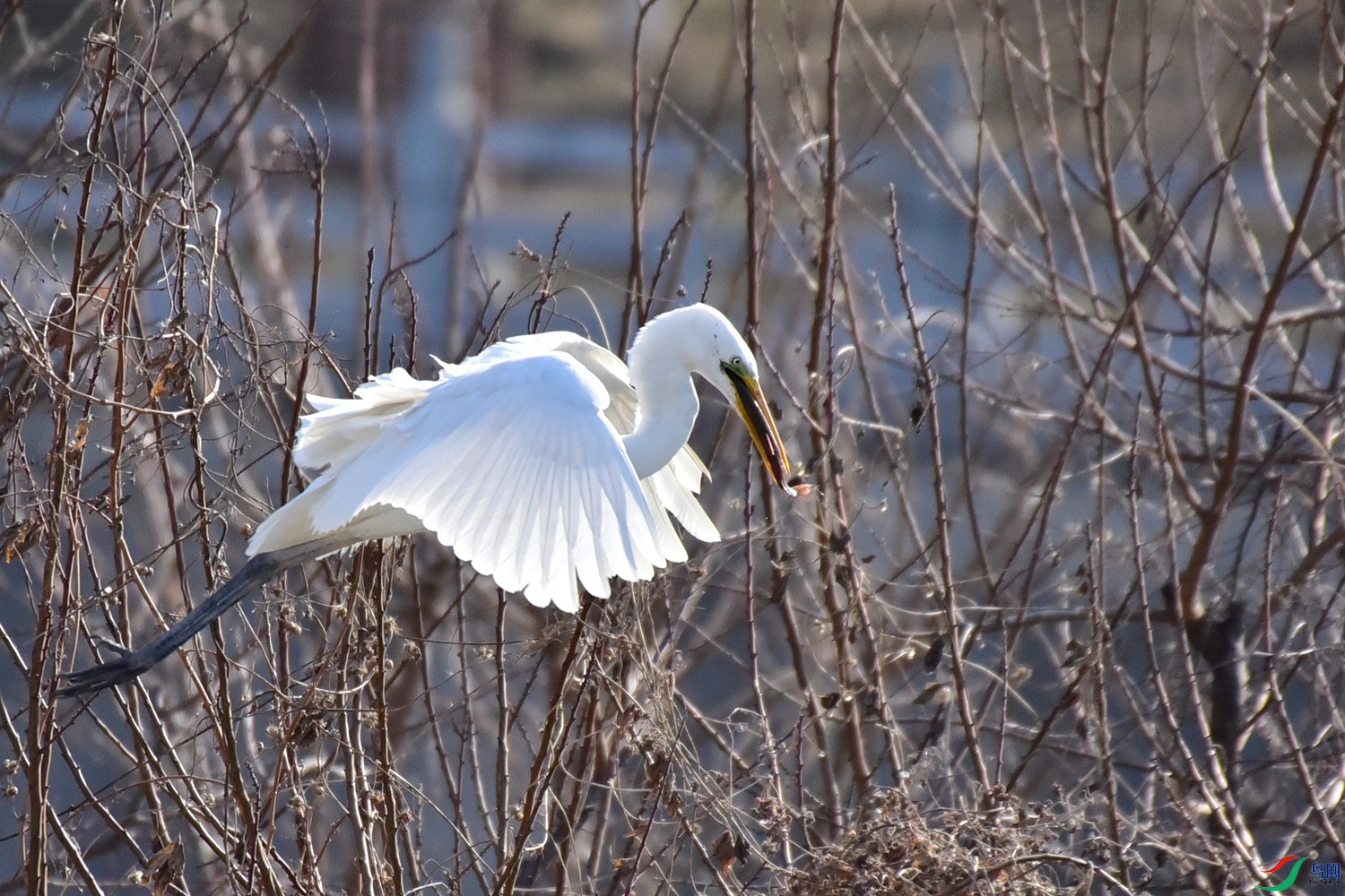 DSC_6192.JPG