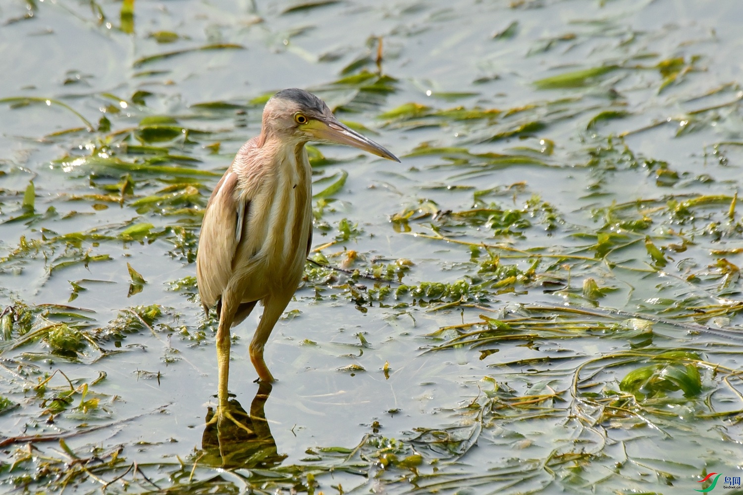 DSC_8287.JPG