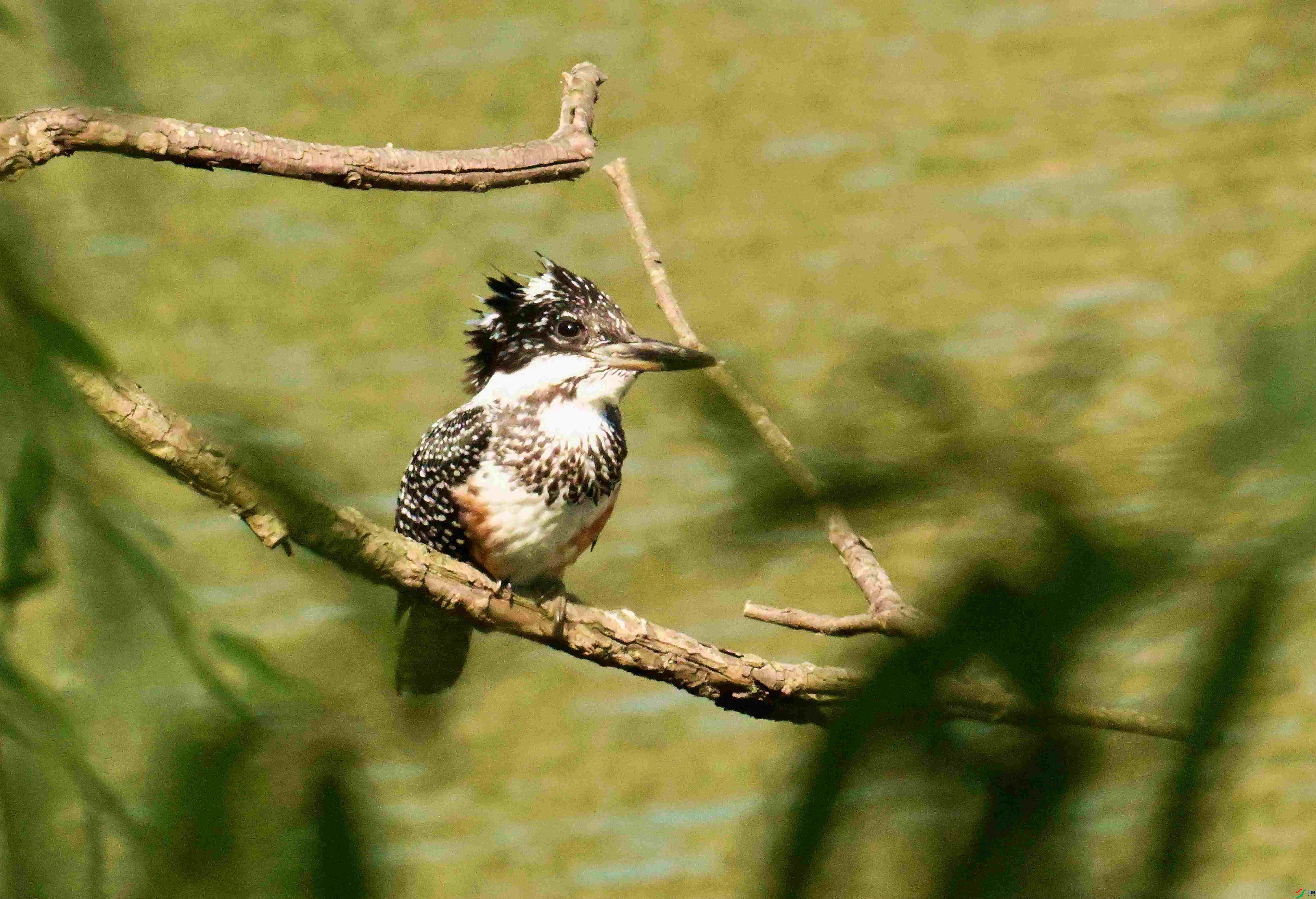DSC_7159.JPG