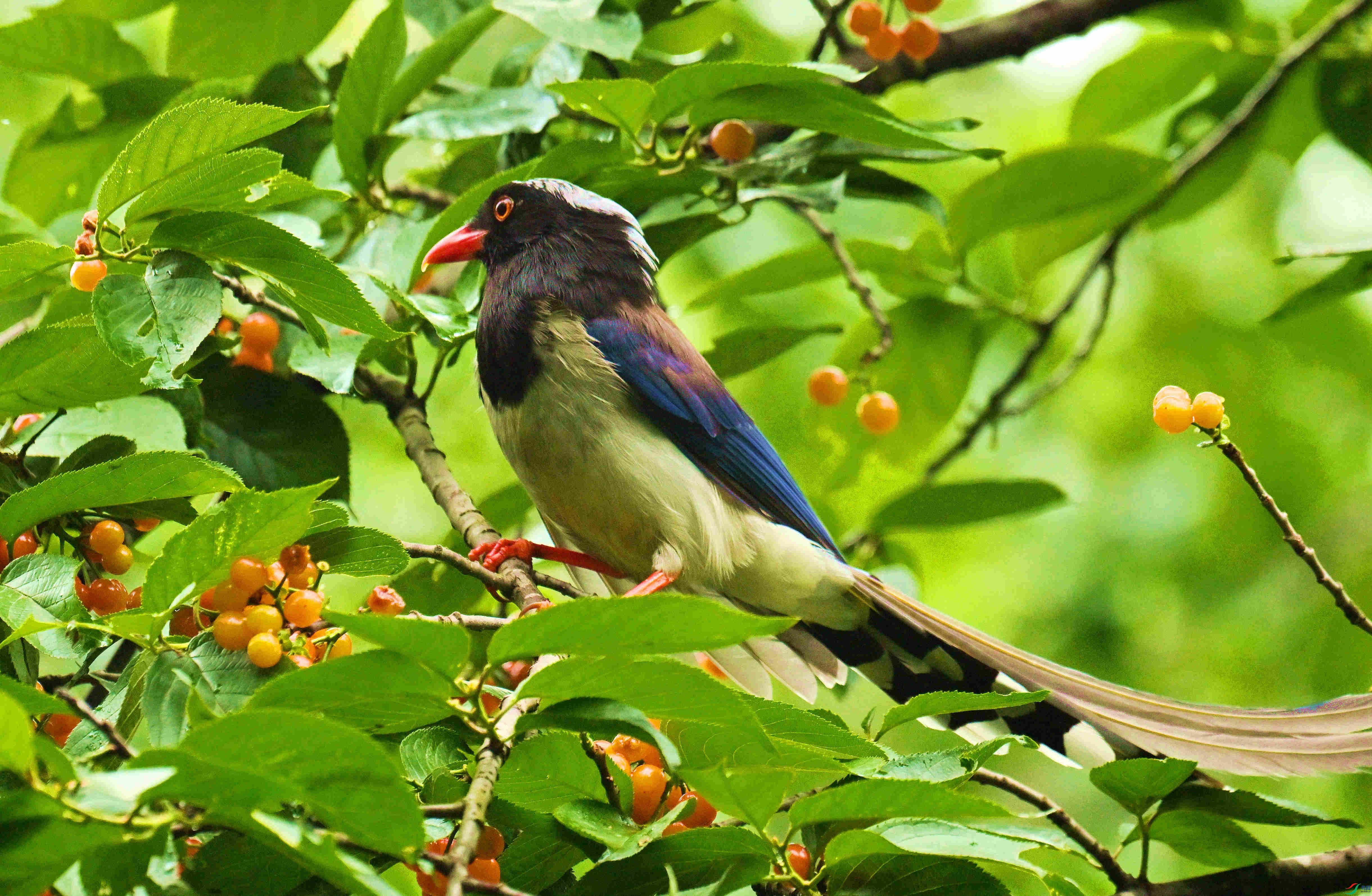 DSC_8668.JPG