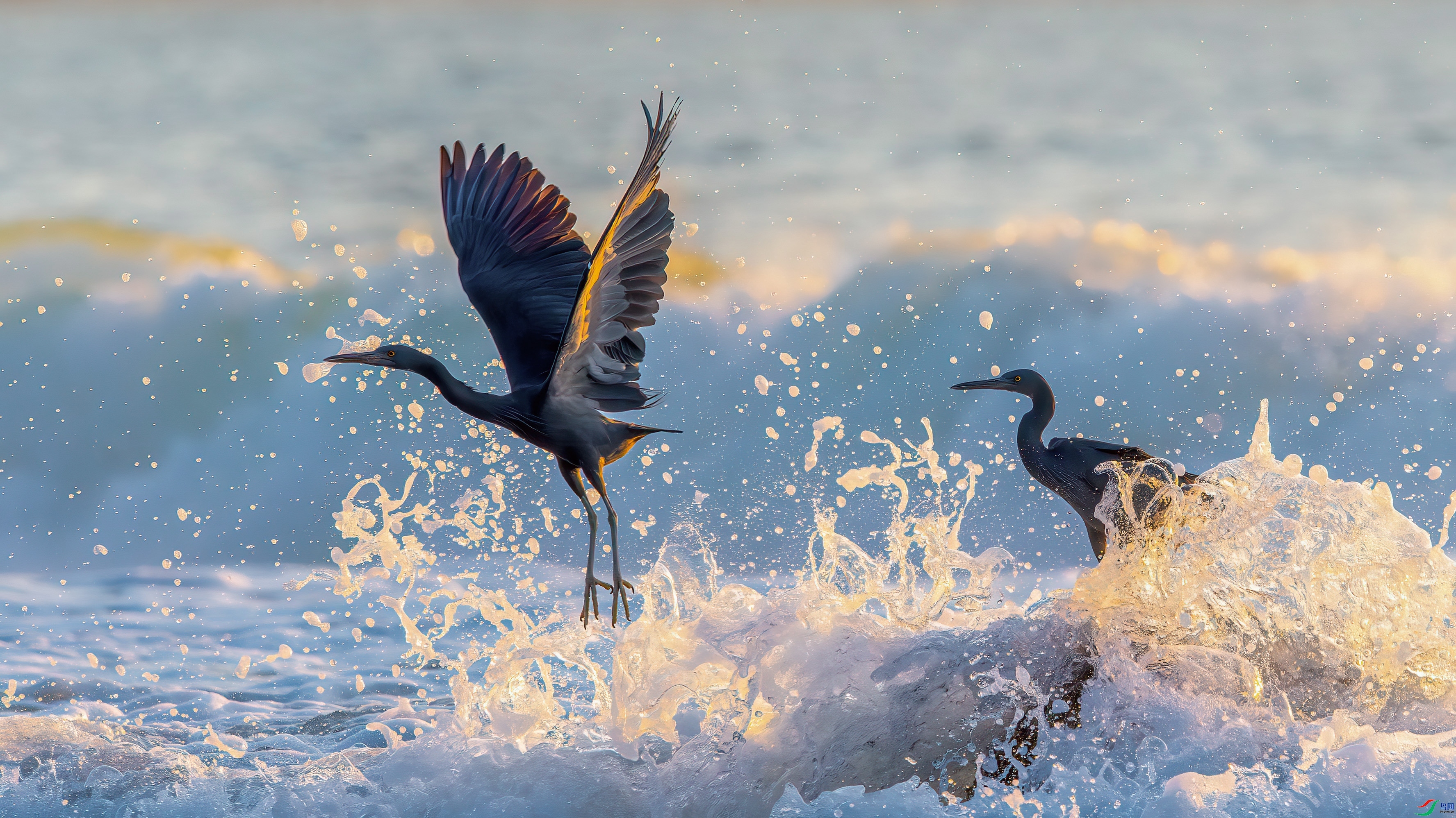 ÿ�ռ���  �뺣�˲��� ���� ��ѧ�� ����.jpg