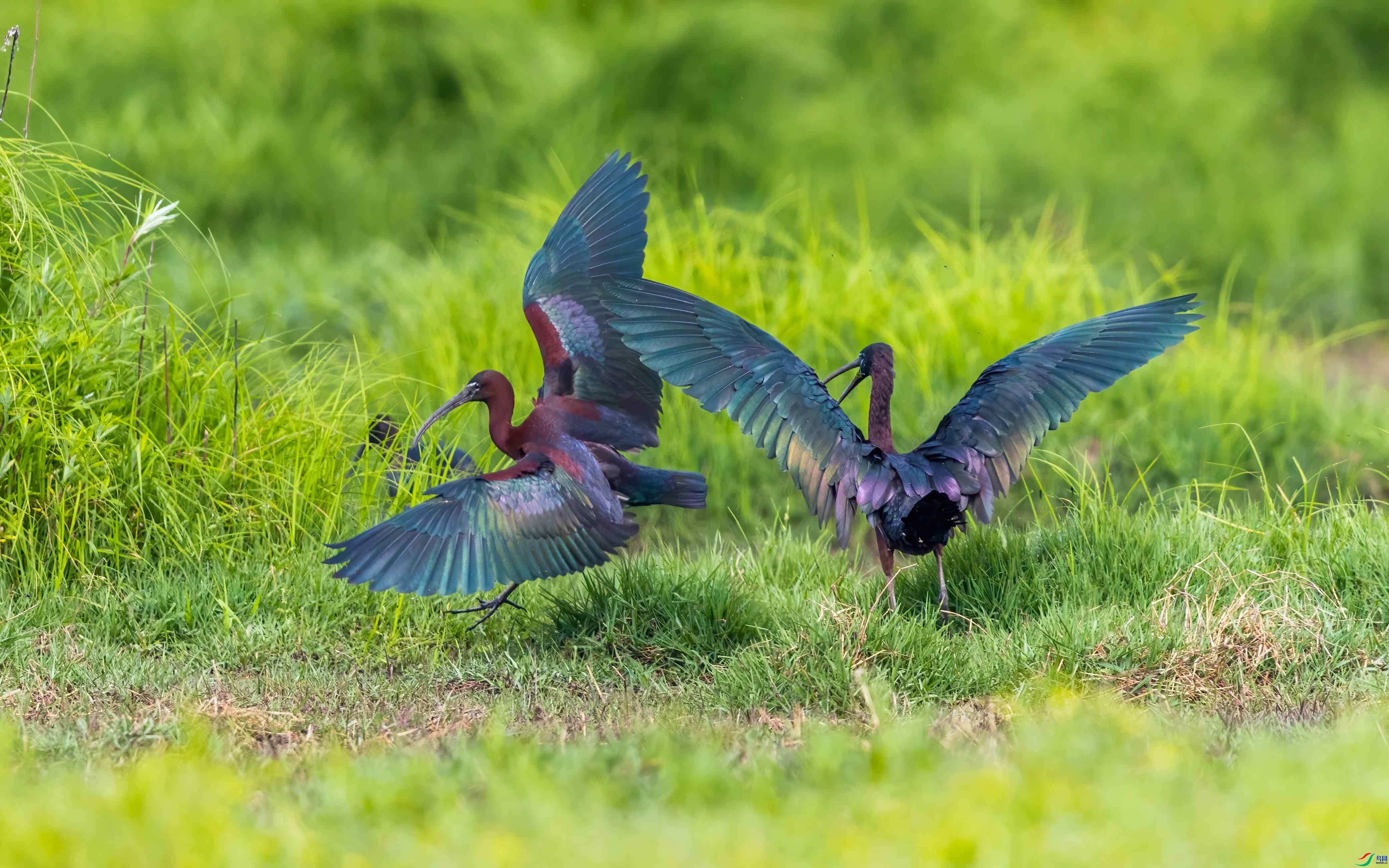 ׷��  ���� ��һ.jpg