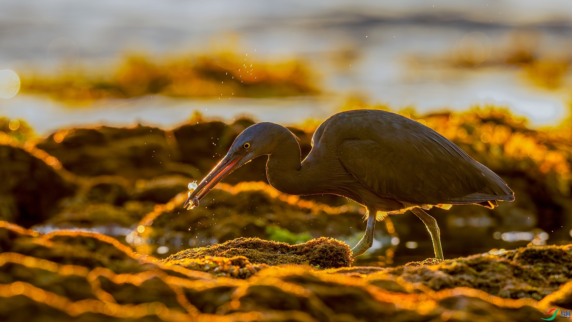 ����  ���� �������� ��һ.jpg