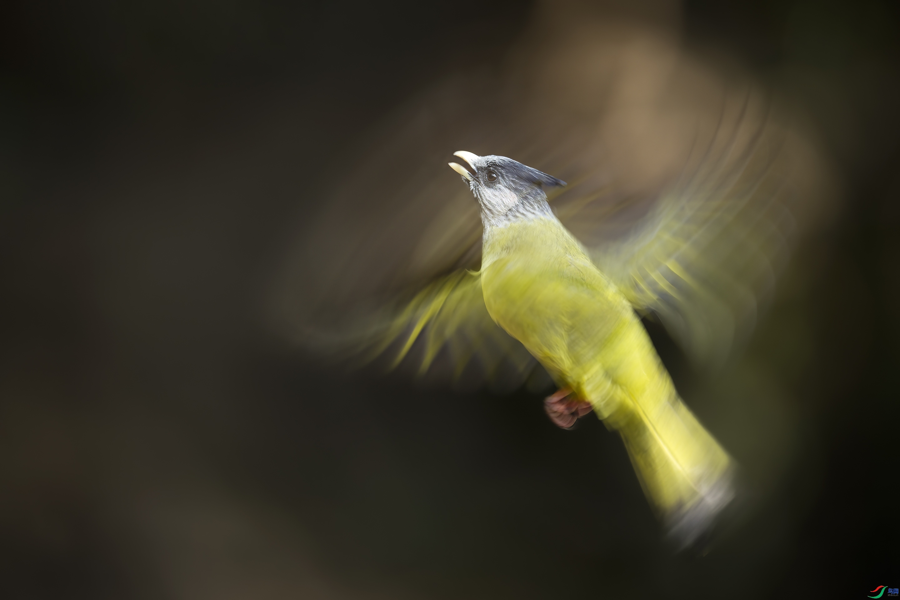 ����  ���� ��һ.jpg