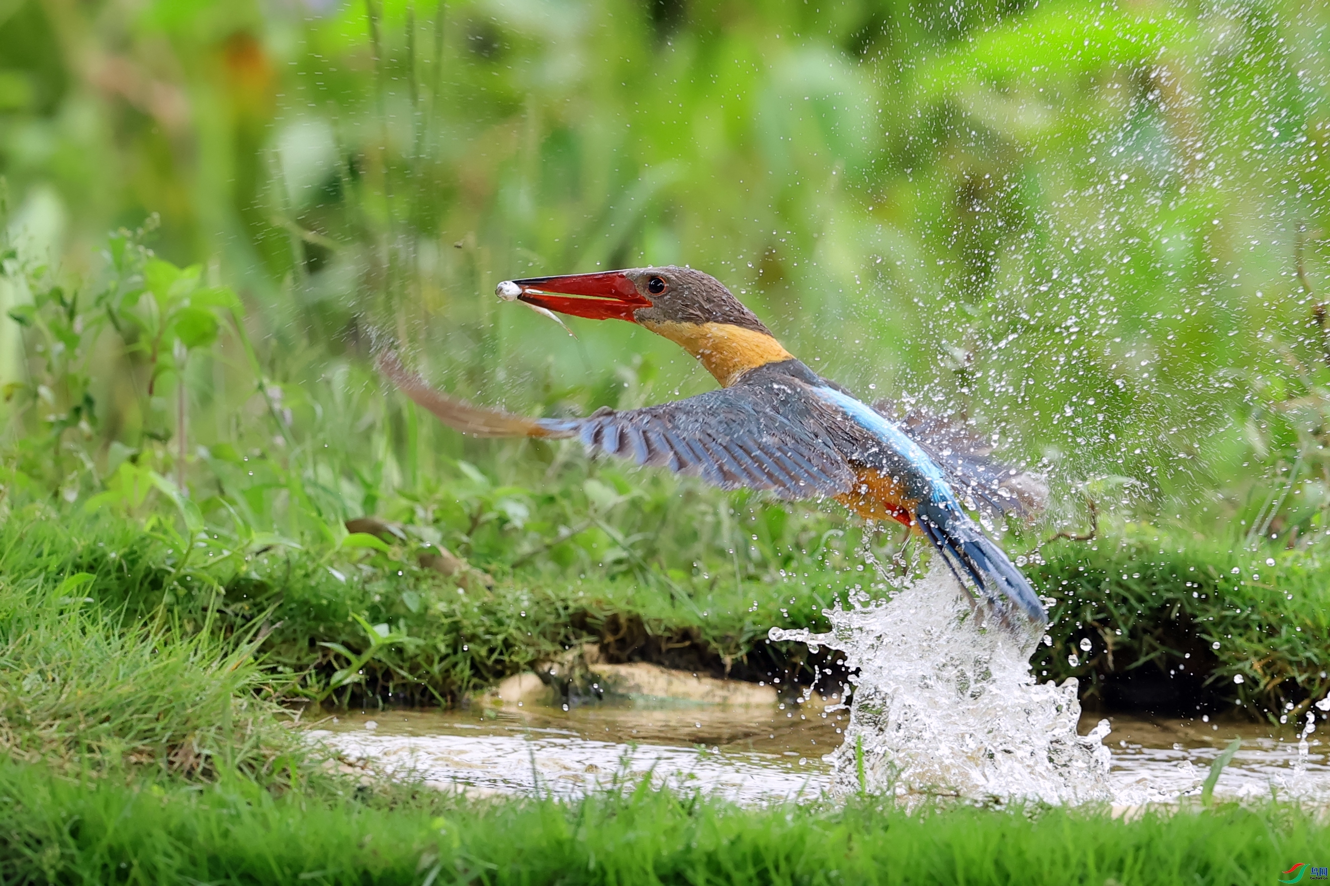 �������-�����̶  ���� ���� ��һ.jpg