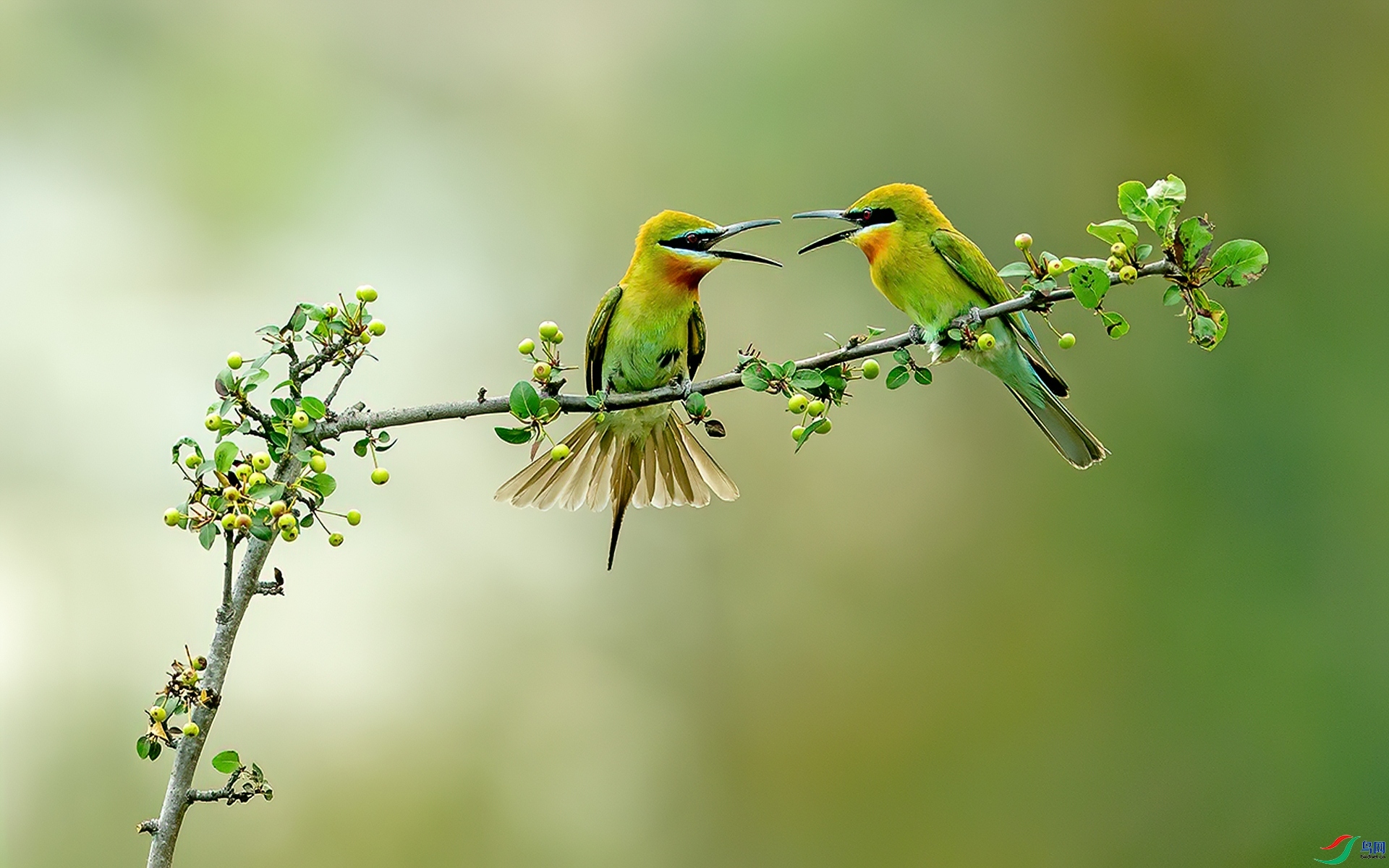 ��Ź ���� л���� �ܶ�.jpg