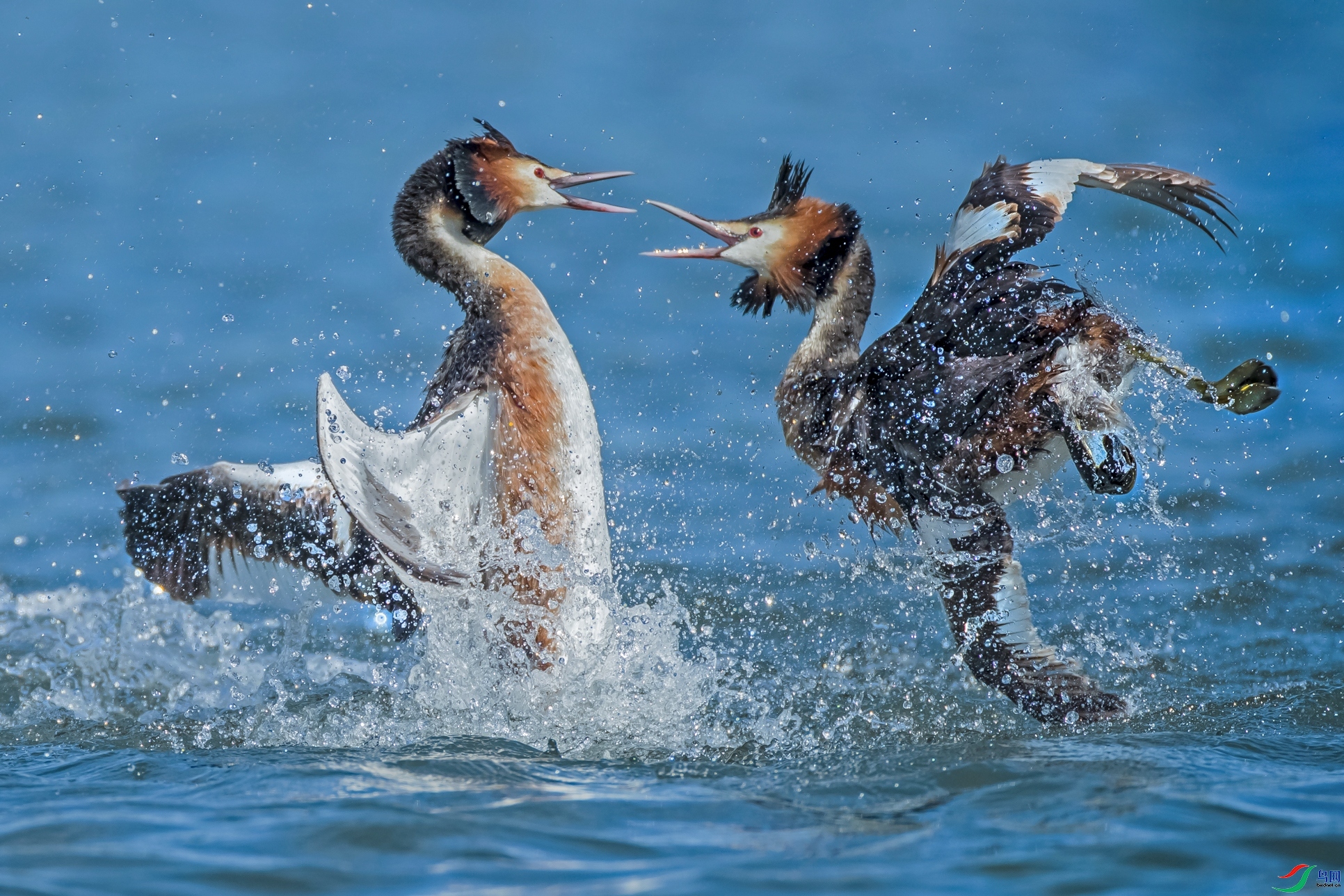 ������Ϊ�İ�  ���� ͬ������ ����.jpg
