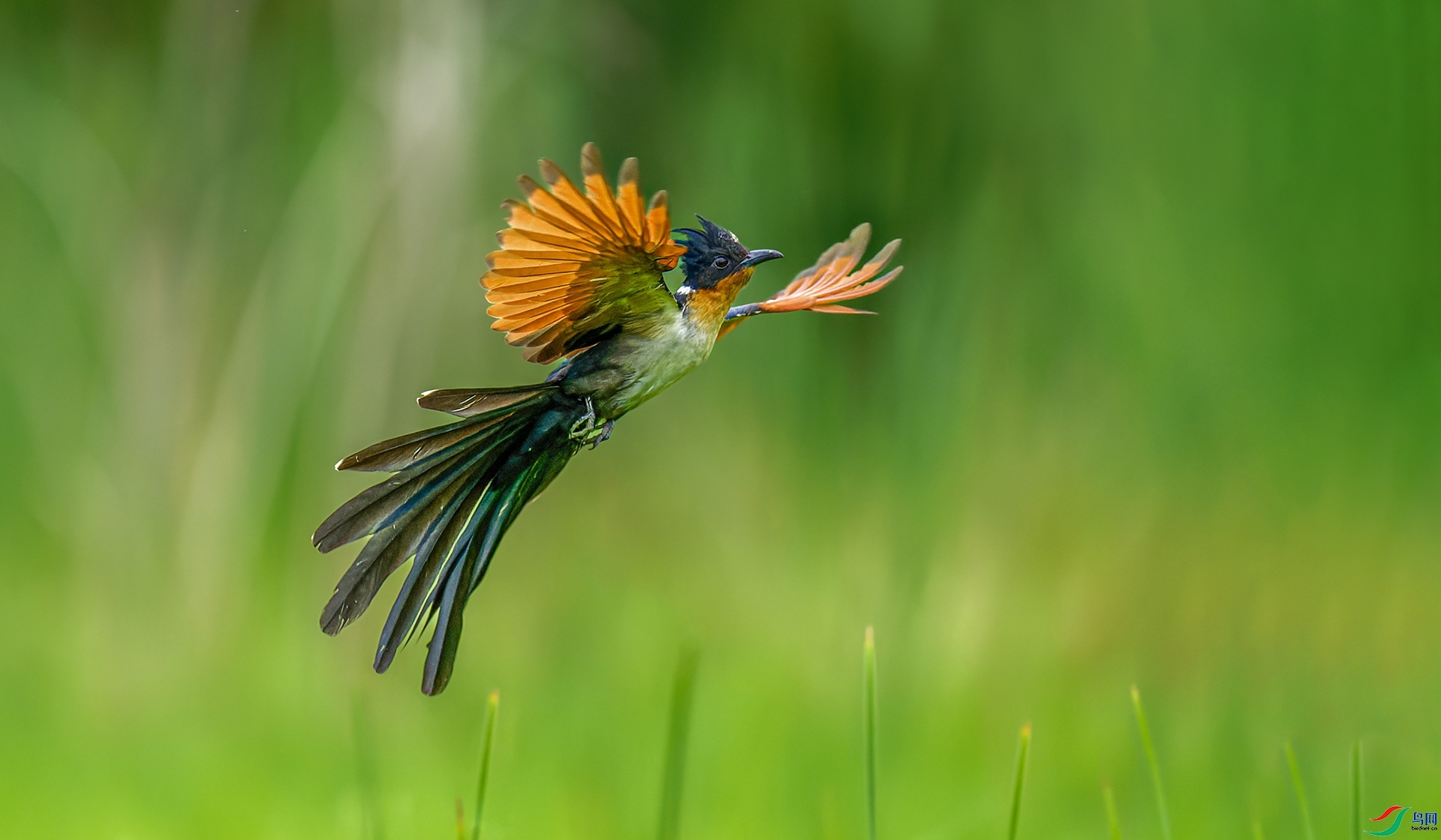 �� ���� �ϫ ����.jpg