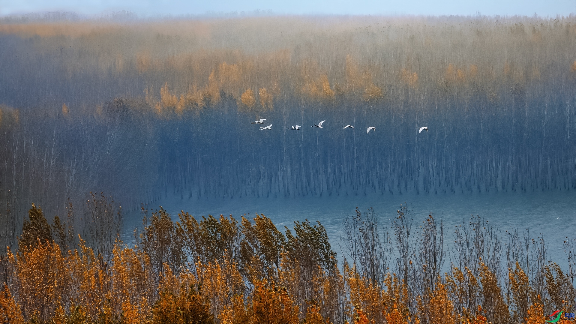 Զ������  ���� ��־���� ����.jpg