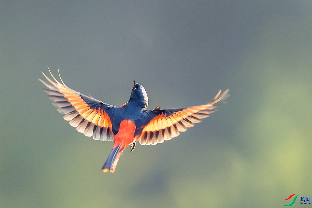 չ��߷�  ���� ���ַ� ����.jpg