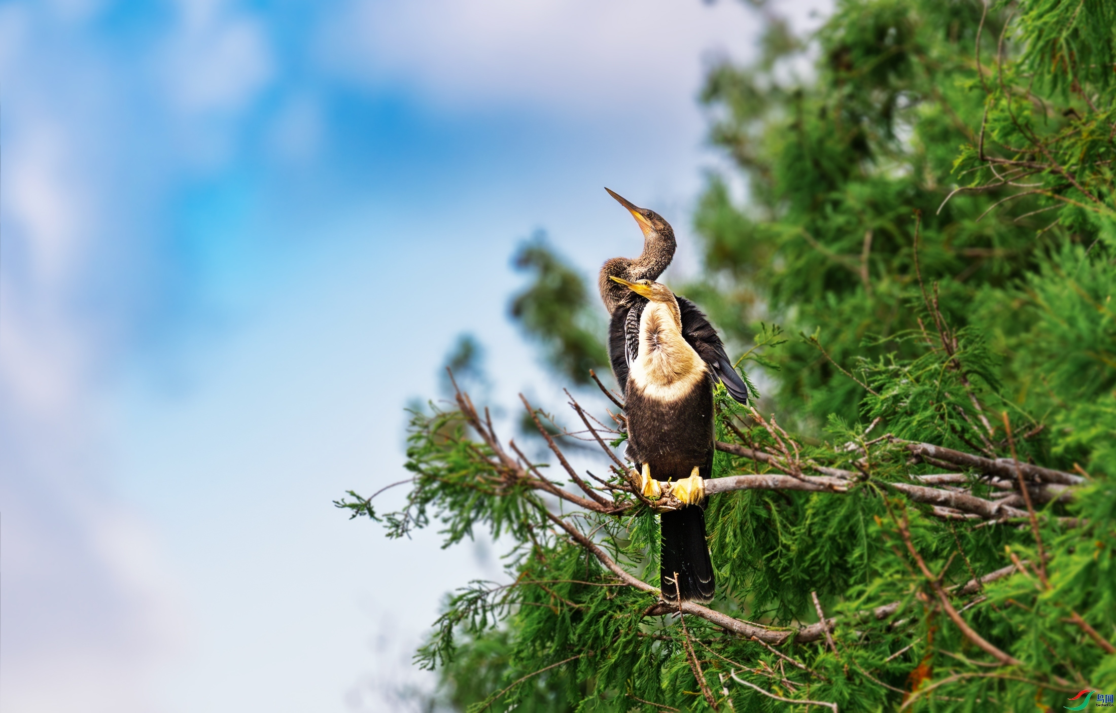 ����  ���� �������� ����.jpg