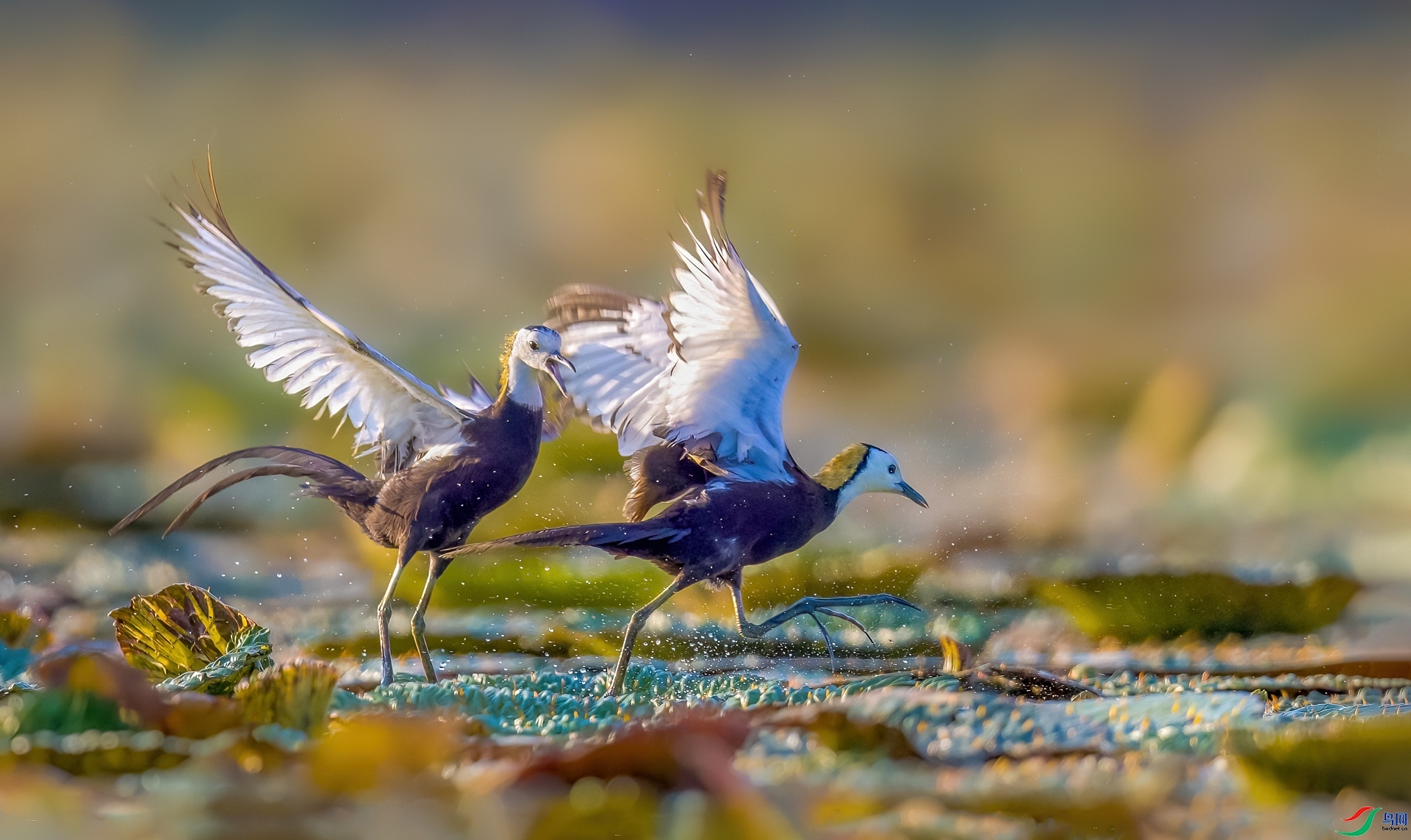 �߿�  ���� ���� ����.jpg