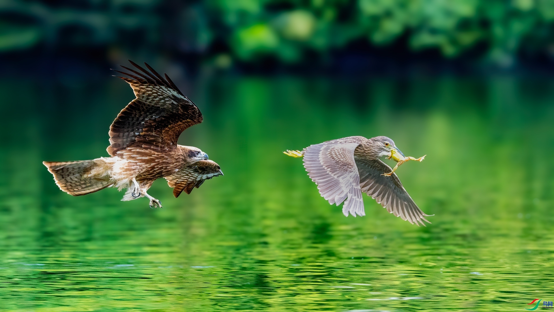 ����  ���� ��־���� ����.jpg