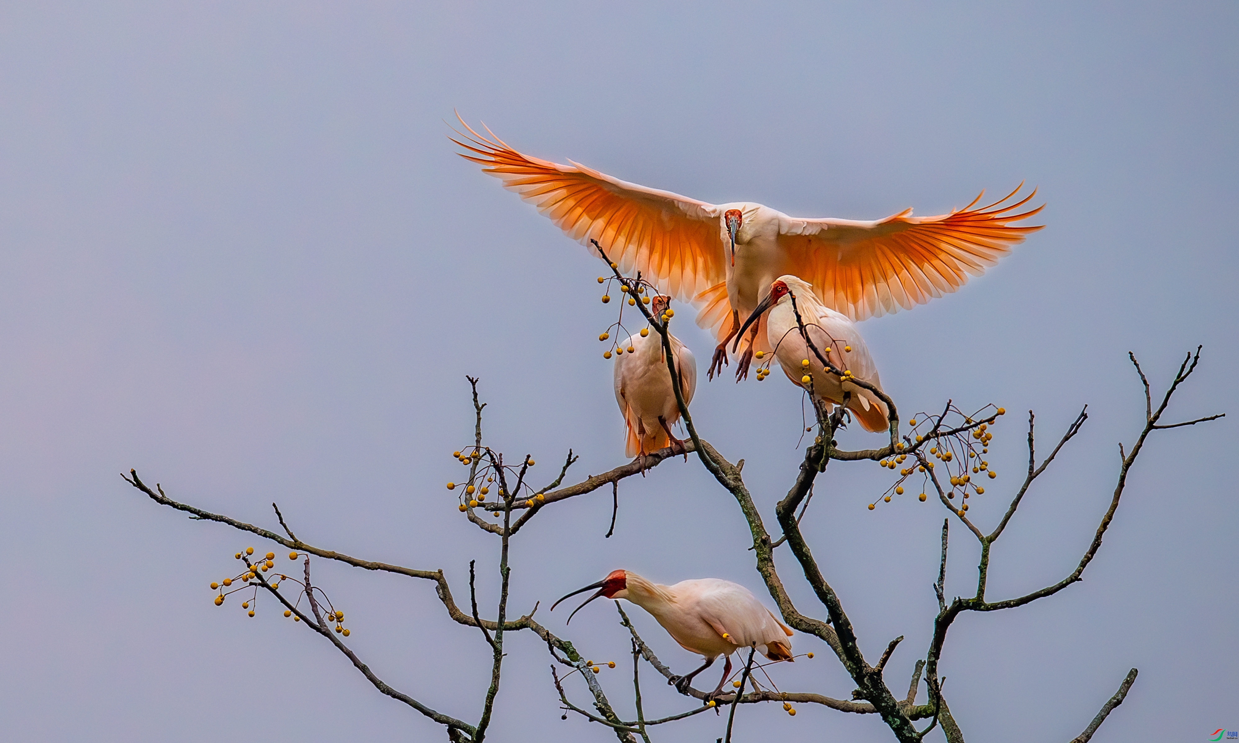 ��������  ����  ��������bj  ����.jpg