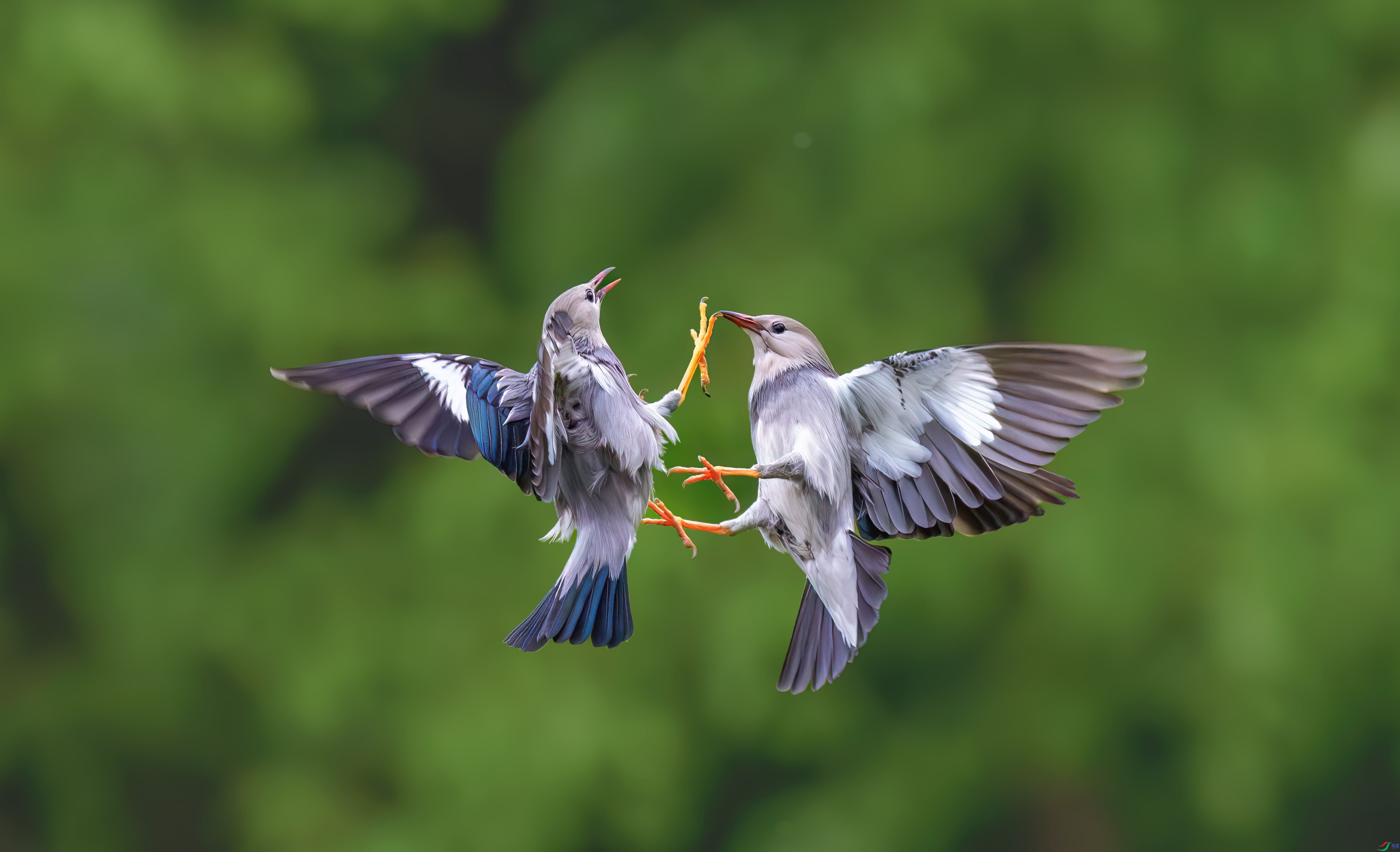 �ö����  ���� 춼ͷ� ����.jpg