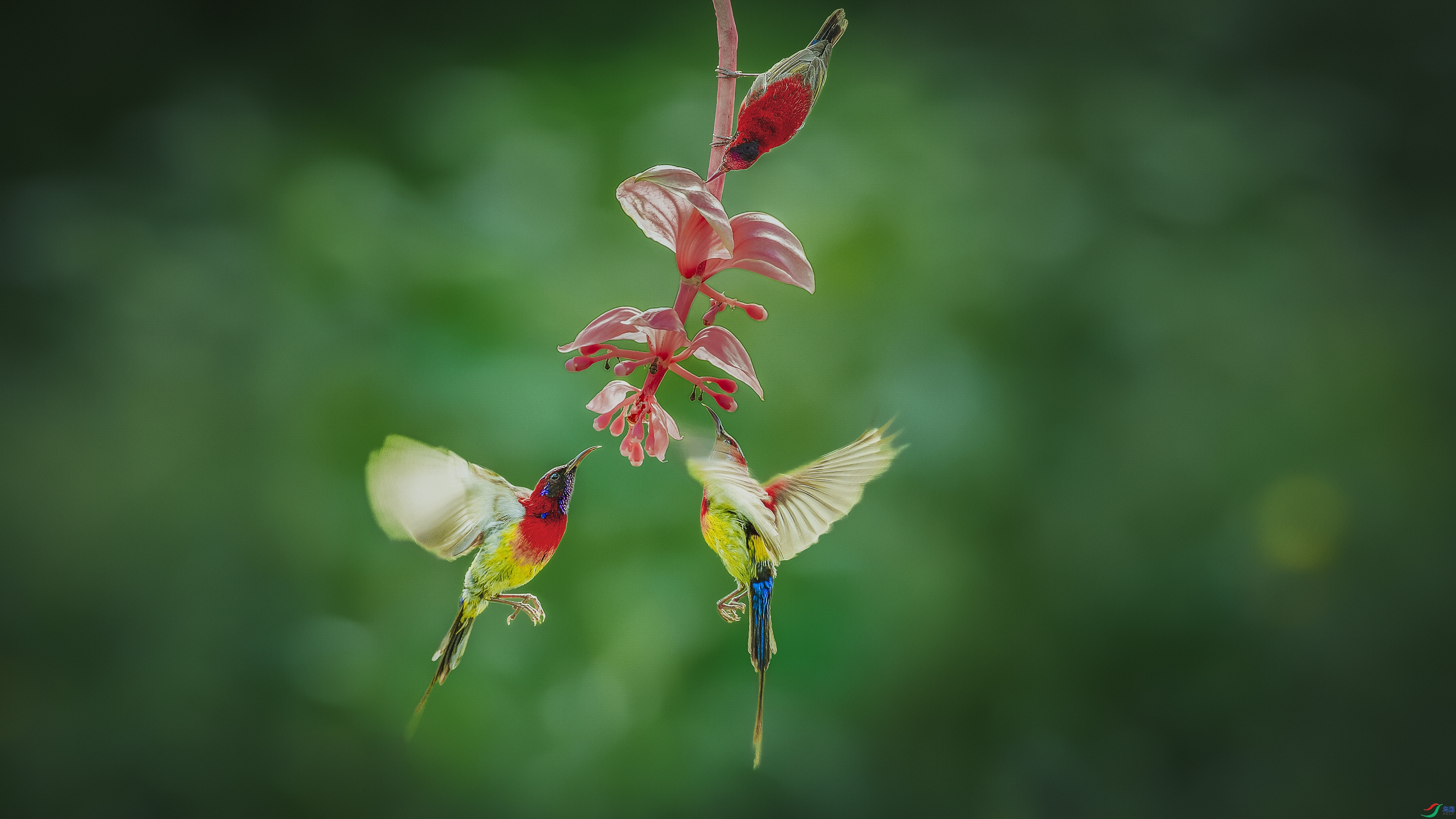 ����̫����  ���� ����.jpg