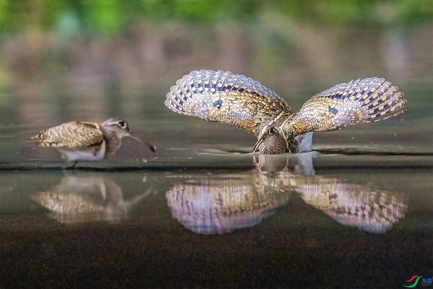 ����  ���� ͧ�� ����.jpg