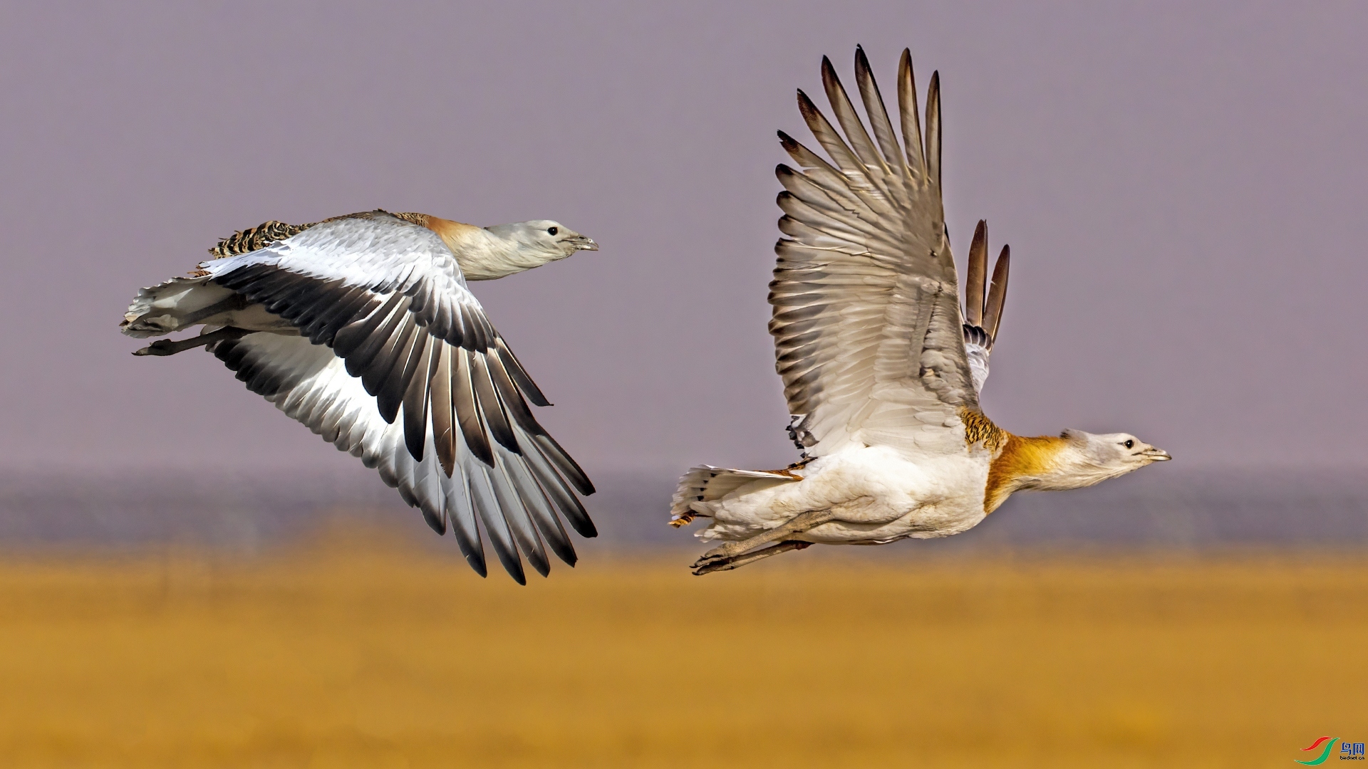 ׷�� ���� ������ ����.jpg