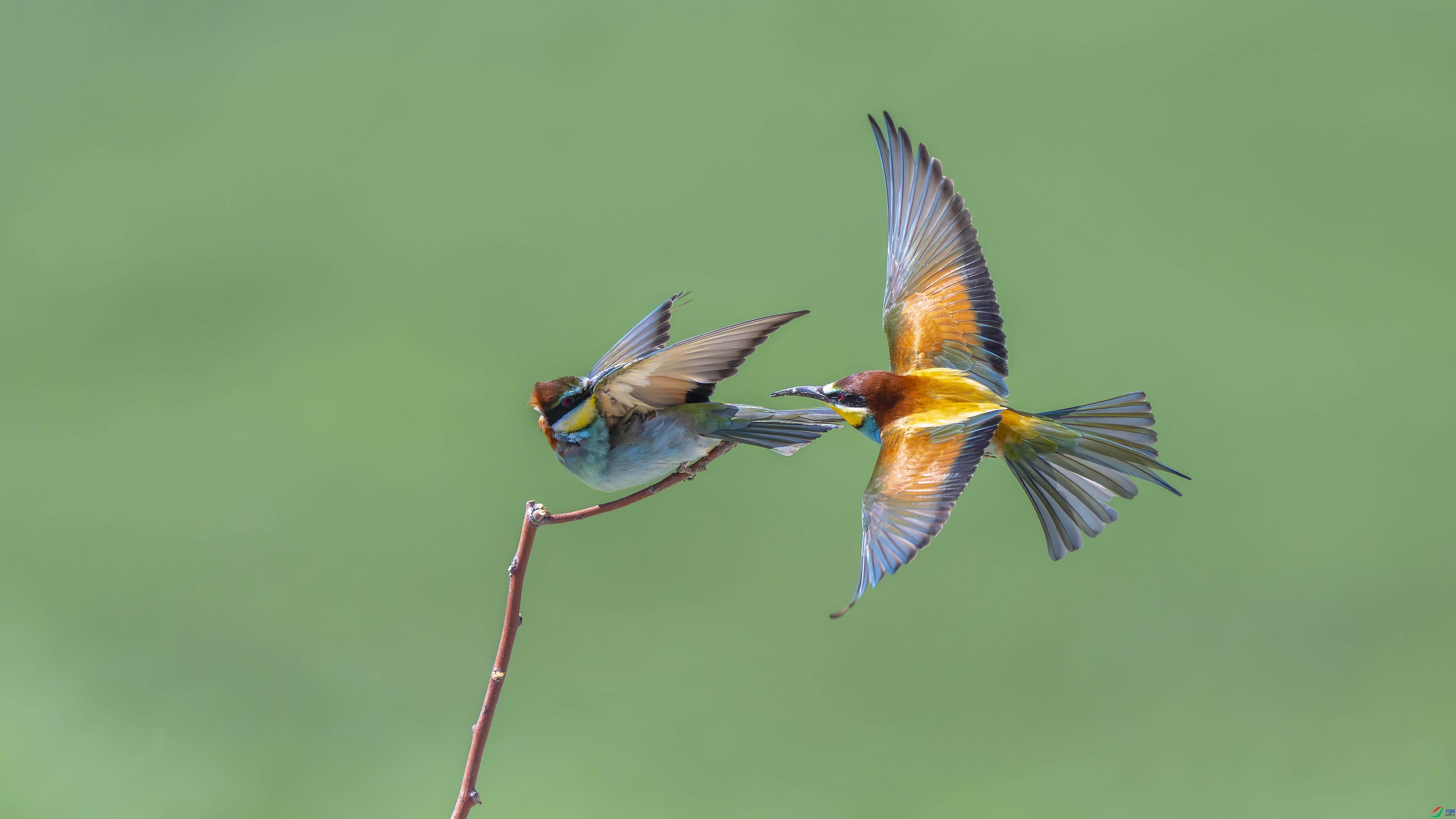 ����  ���� ׾�� ����.jpg