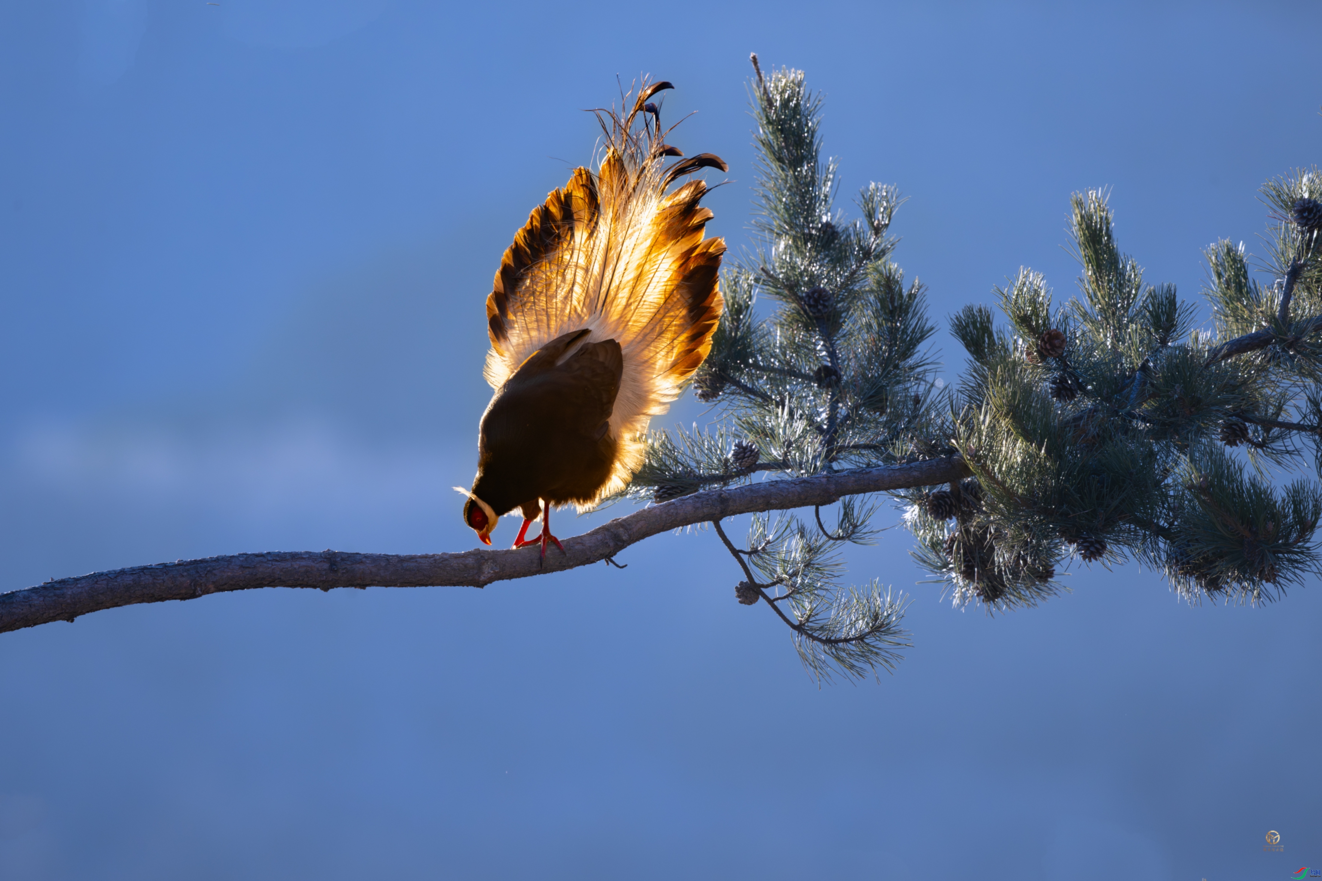 Ե��Եȥ ldf  ����.jpg