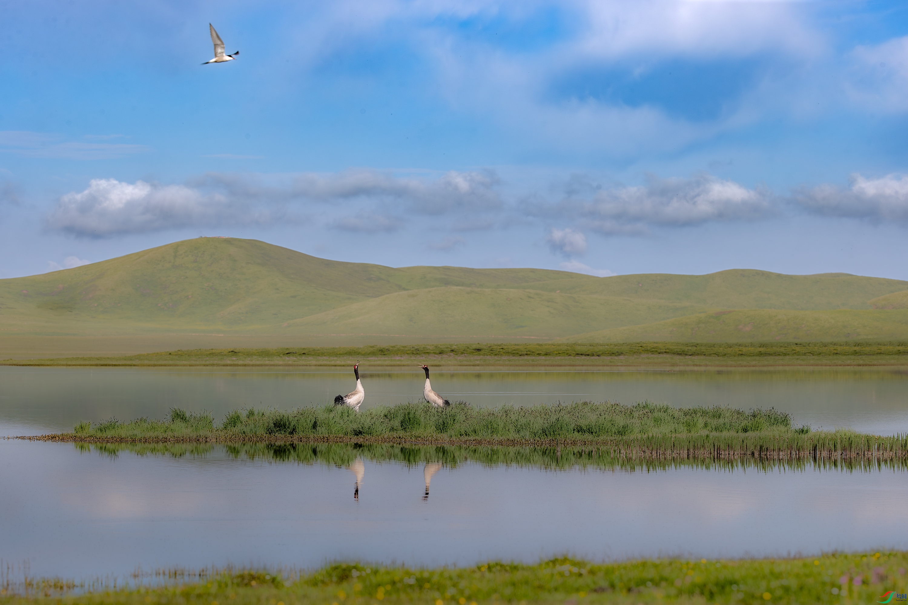 A15I8193-����ǿ-NR ����.jpg