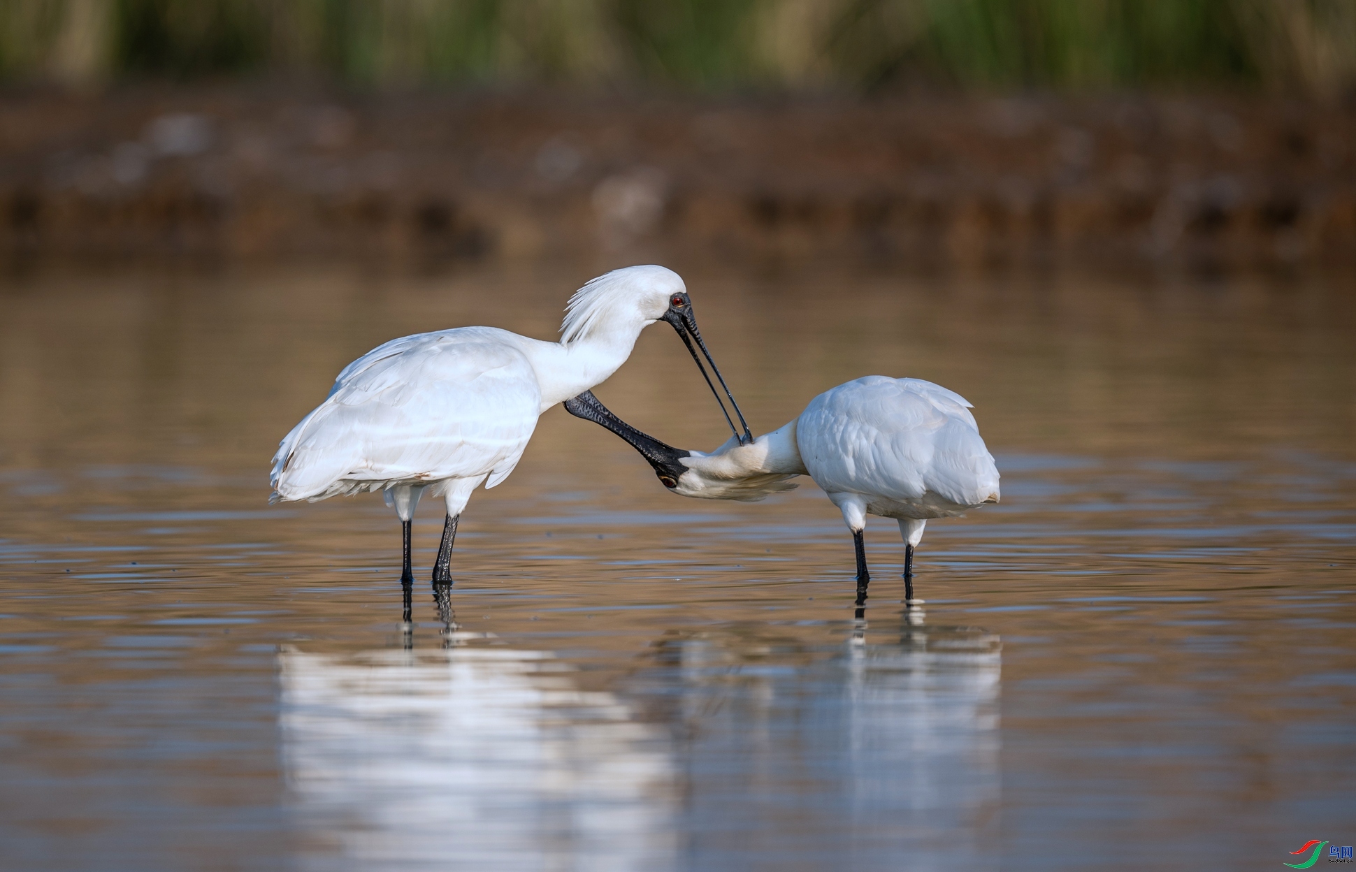 �������� ���� ���ޱ� ����.jpg