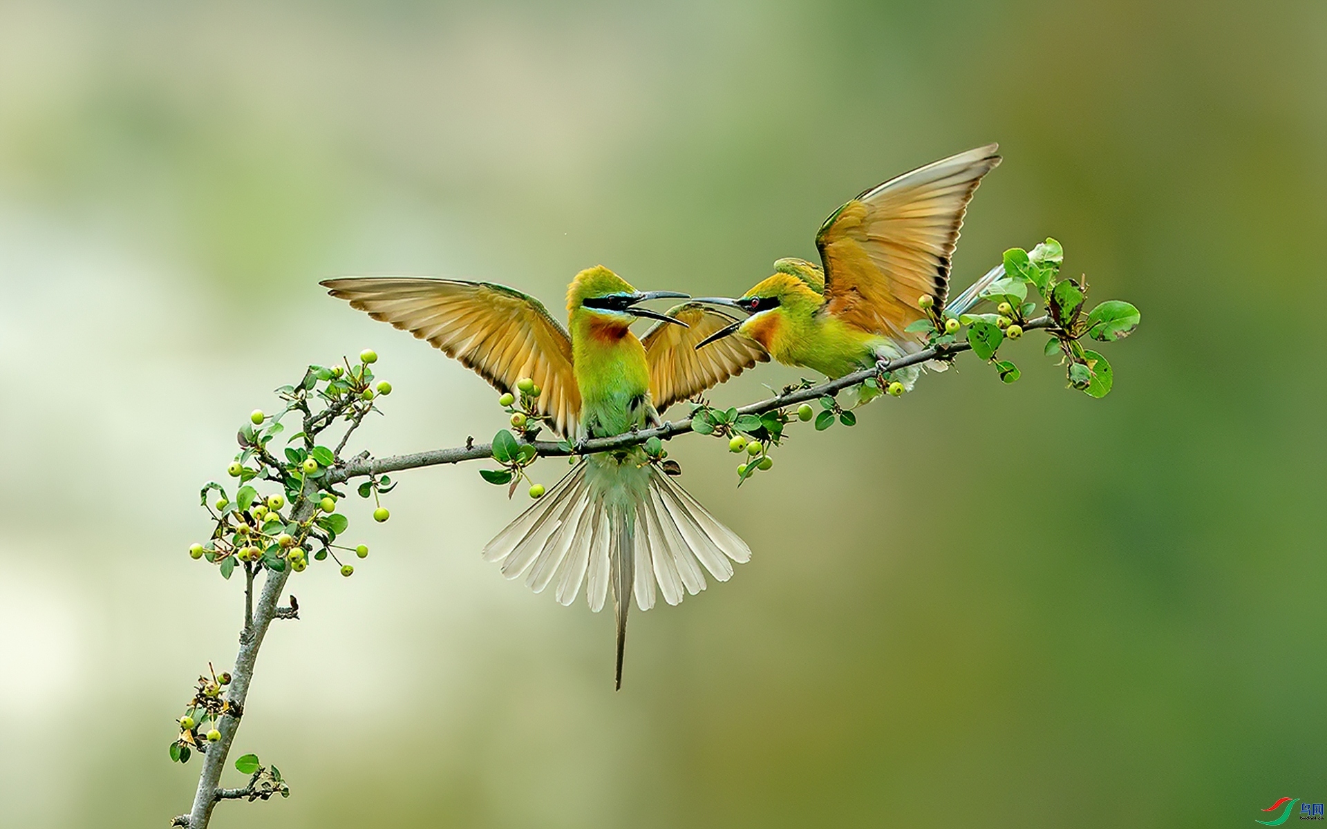 ��Ź ���� л���� ����.jpg