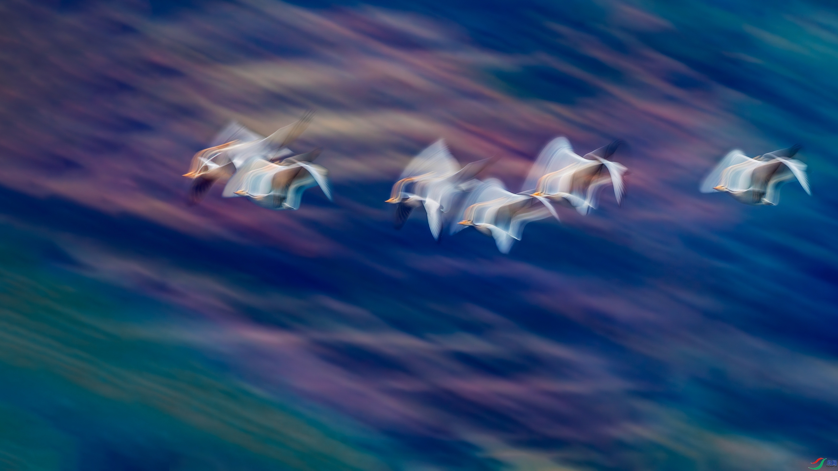 �������  ���� ��־���� ����.jpg