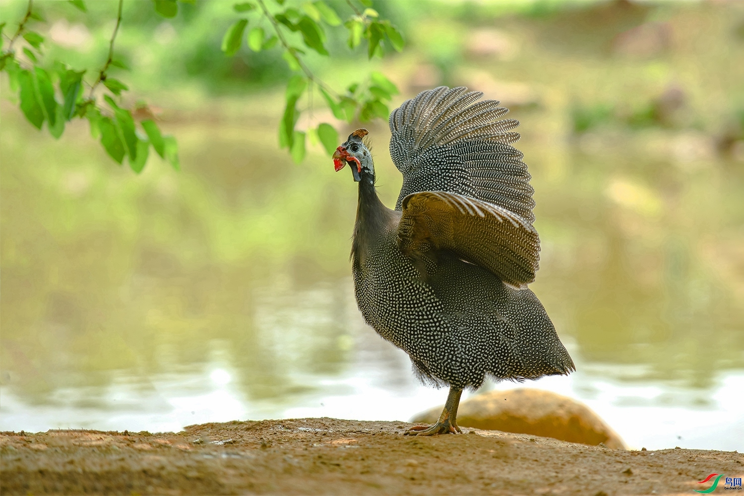 ���鼦 ���� ͧ�� ����.jpg