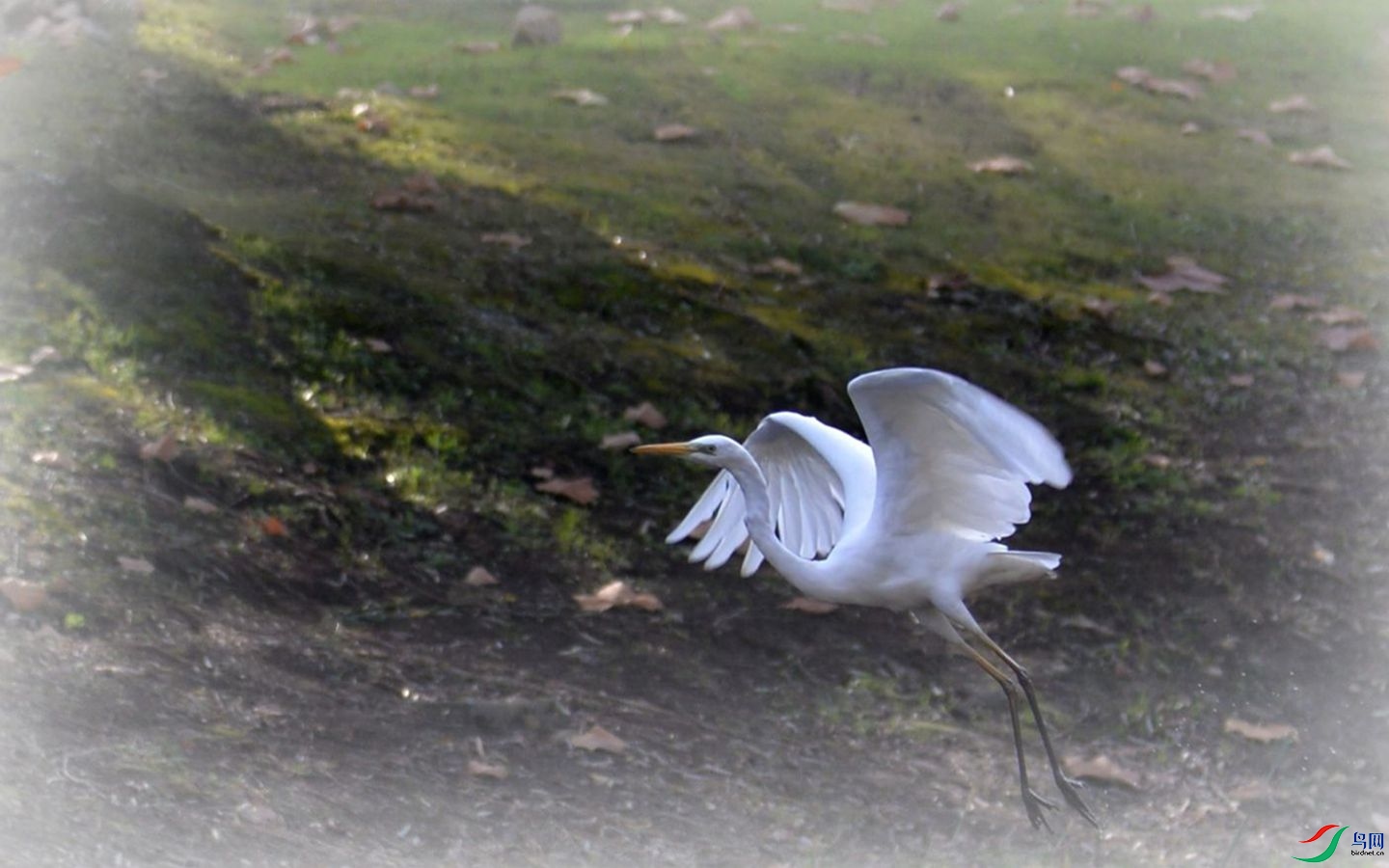 872 (23)_����.jpg