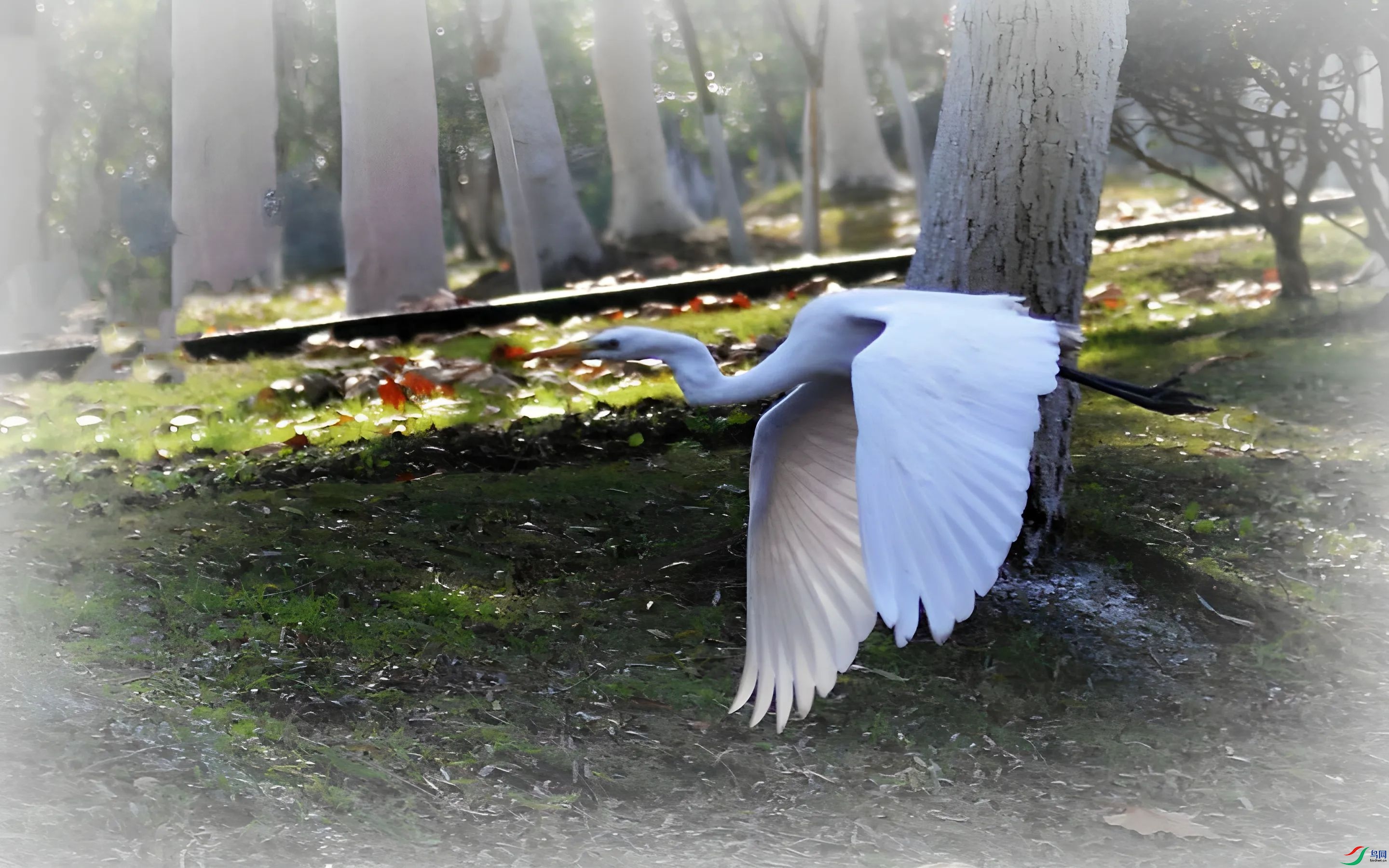 872 (27)_����.jpg