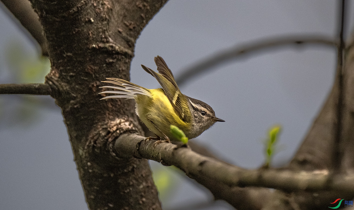 DSC_0781 ����.jpg