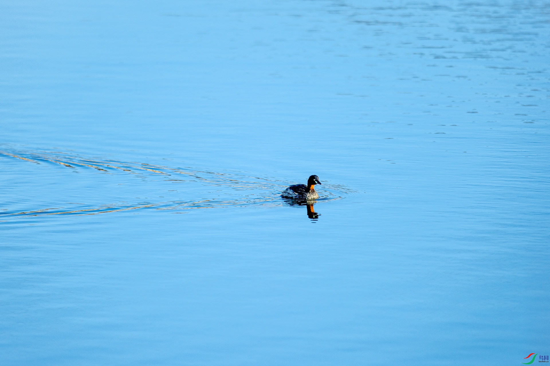 _DSC5475.jpg