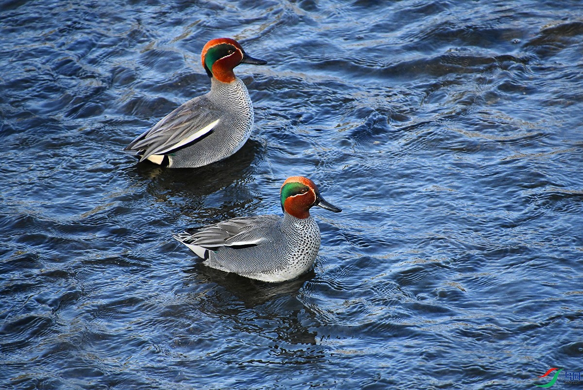 DSC_1348_.jpg