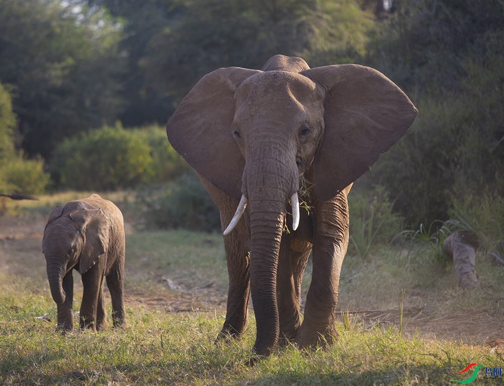 ���޴��� (5).jpg