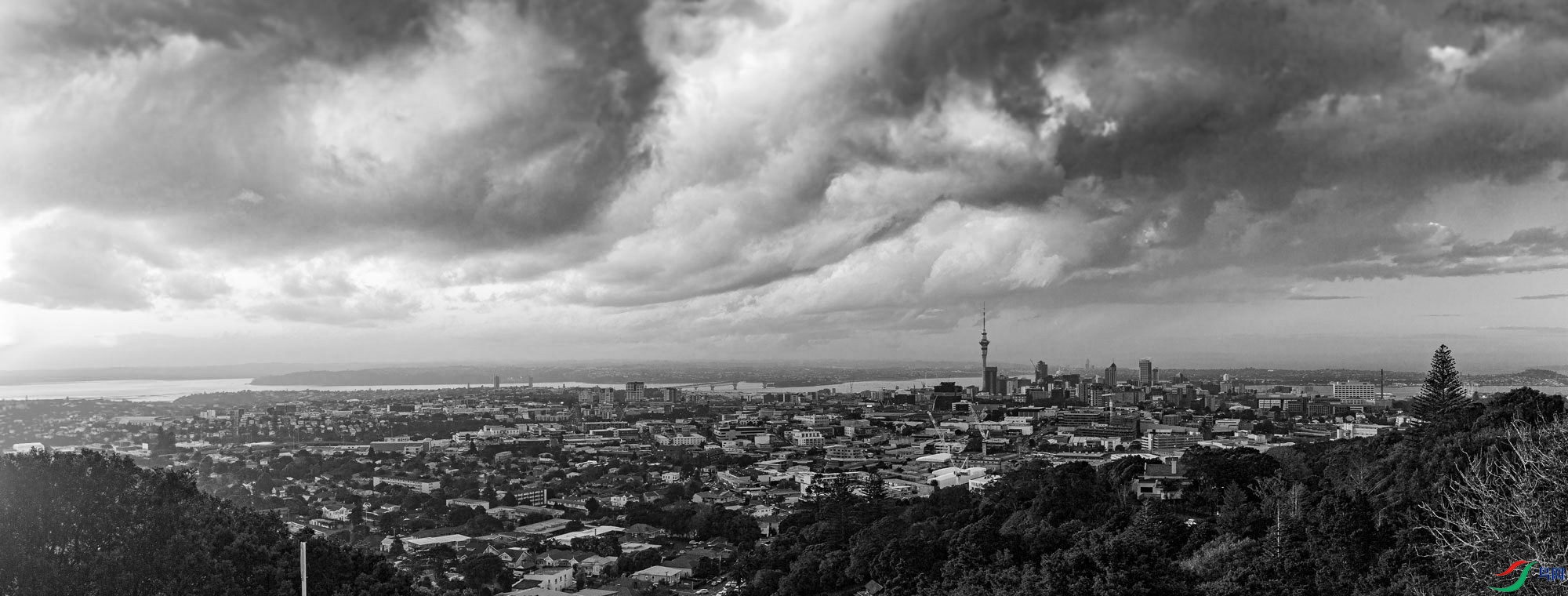 3G5A1261-Pano.jpg