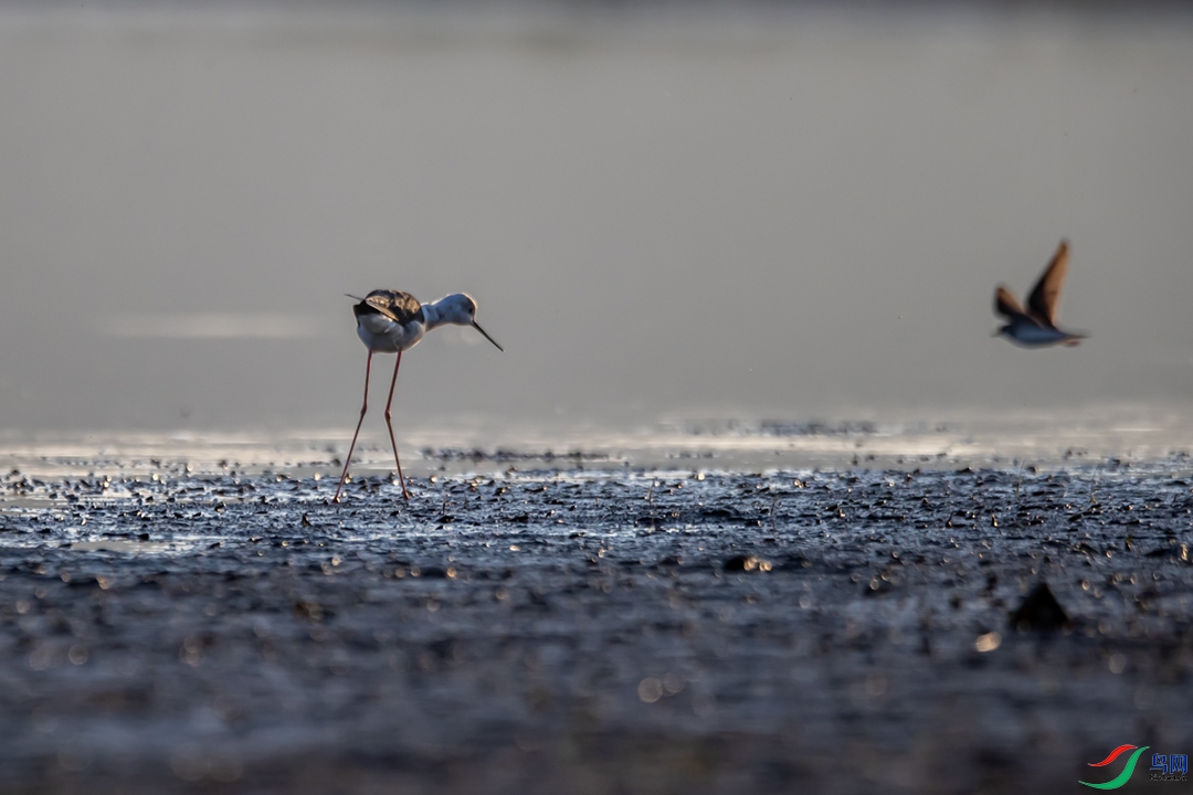 A63I7426 ����.jpg