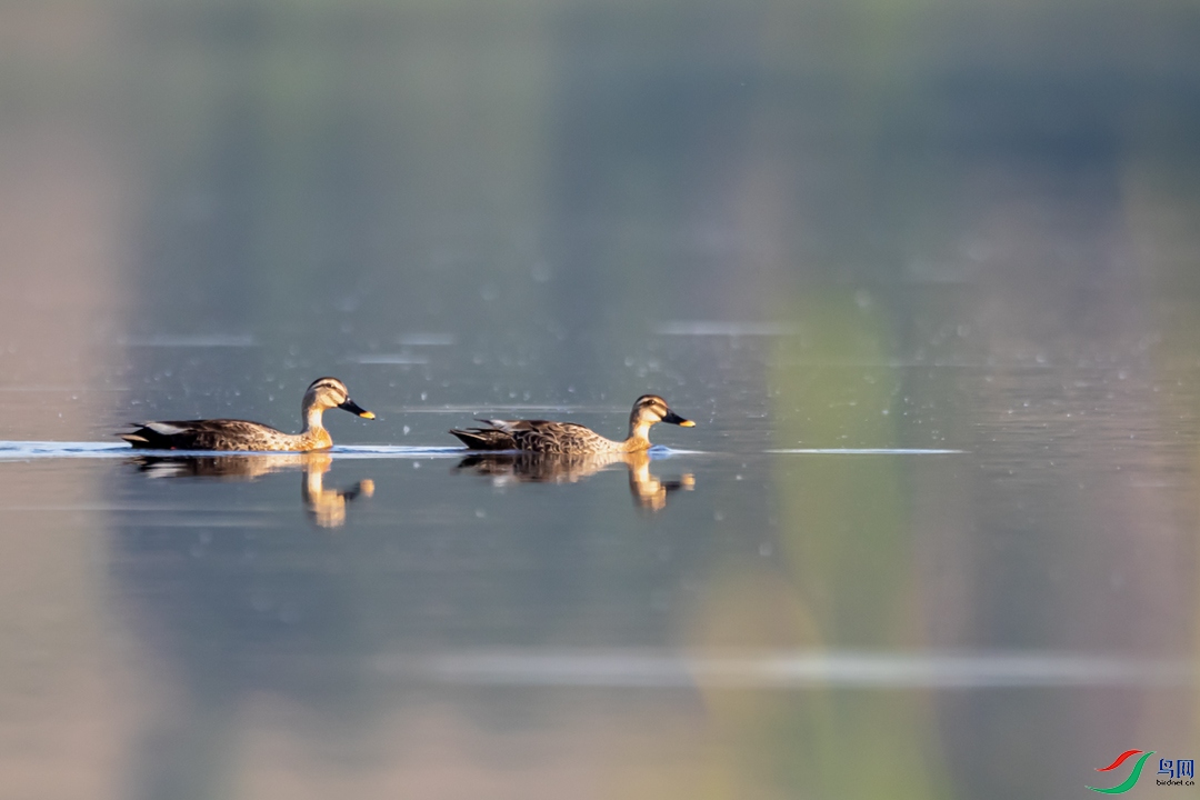 A63I7429 ����.jpg