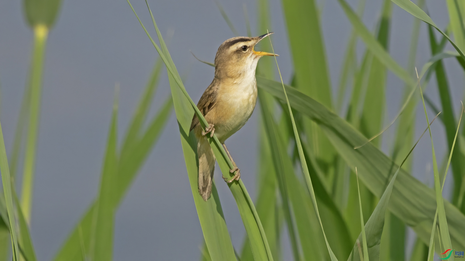 3U2A8654 ���� 2.jpg